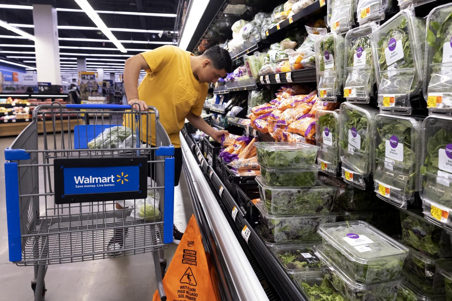 Fotografía de archivo de una persona que realiza sus compras en el súpermercado Walmart. EFE/EPA/MICHAEL REYNOLDS