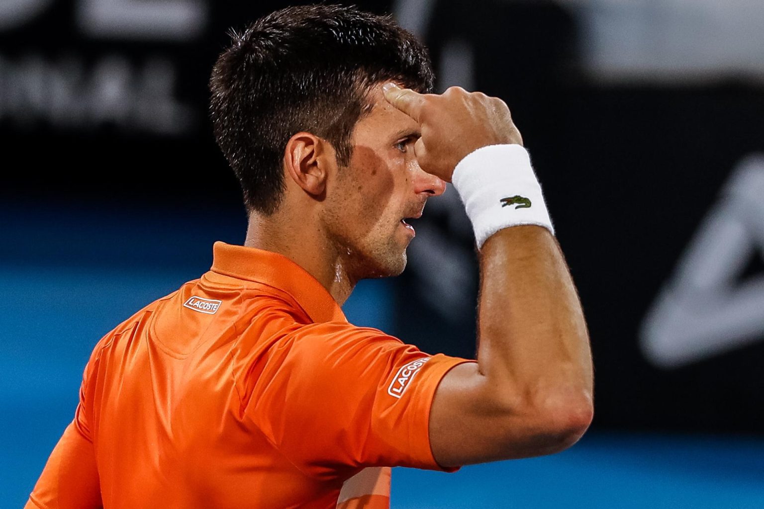 Fotografía de archivo en la que se registró al tenista serbio Novak Djokovic. EFE/Matt Turner