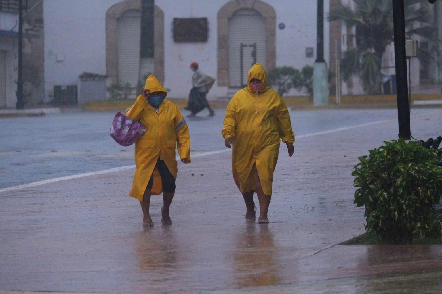 Dos personas protegidas con capas caminan en medio de un fuerte aguacero en el estado de Yucatán (México). EFE/ Cuauhtemoc Moreno