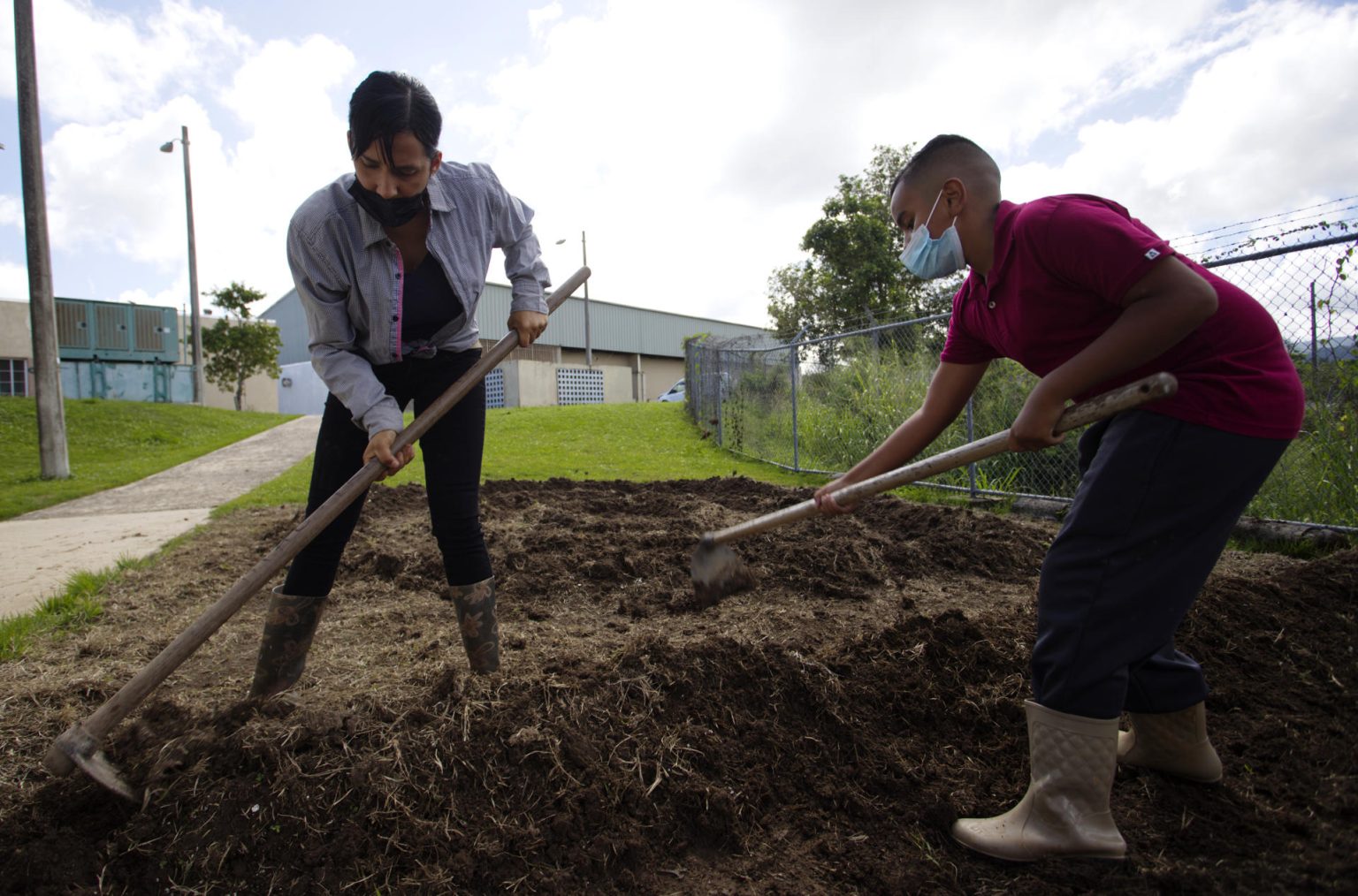 El Departamento de Agricultura de Puerto Rico anunció este viernes que firmó un acuerdo colaborativo con su homólogo federal (USDA, en inglés) para proveer a los agricultores de la isla recursos para mejorar sus operaciones en sus negocios rurales. Fotografía de archivo. EFE/Thais Llorca