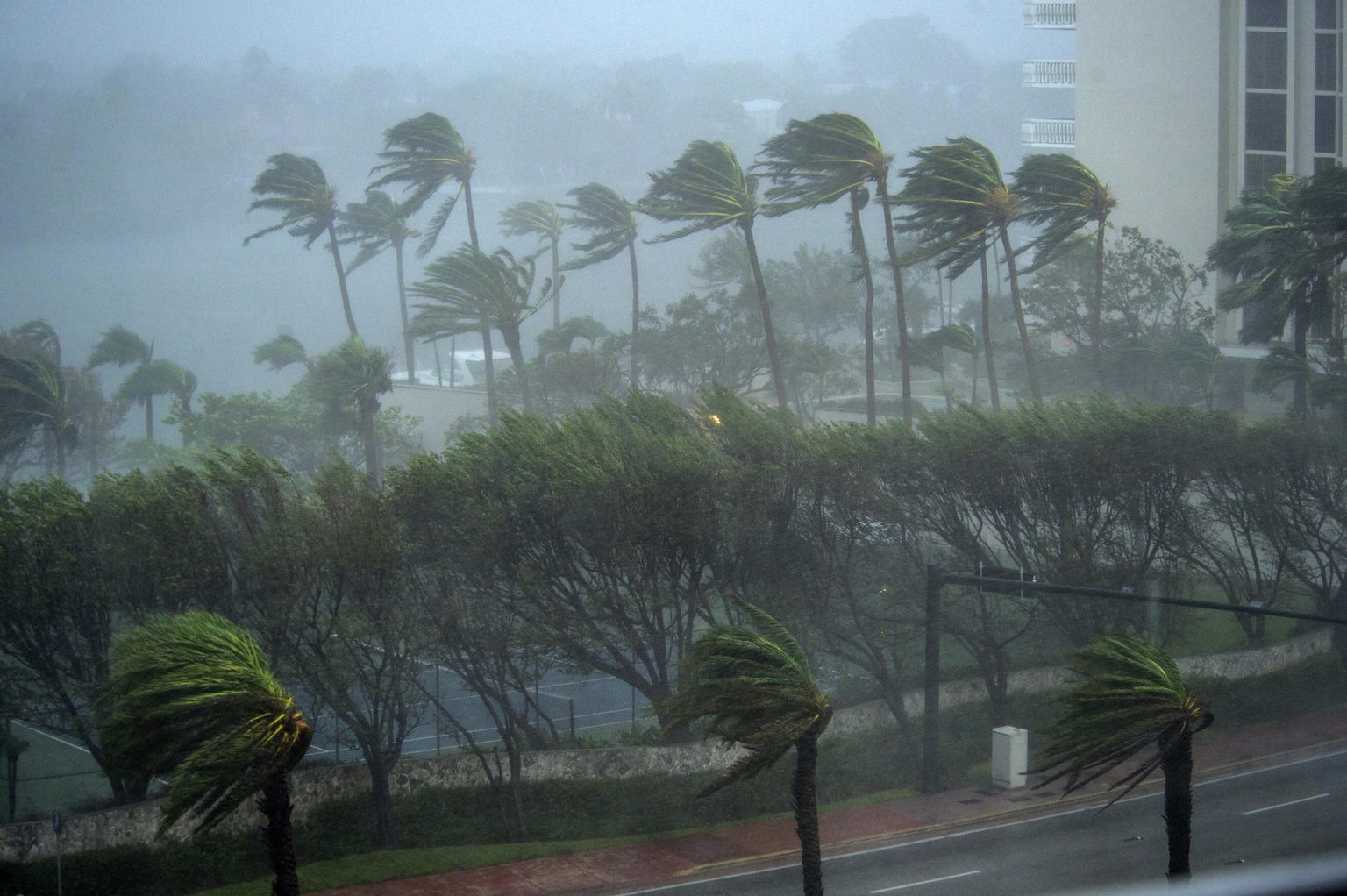 Fotografía de archivo que muestra una calle durante el paso del huracán Irma en Miami, Florida (EE.UU.). EFE/Giorgio Viera