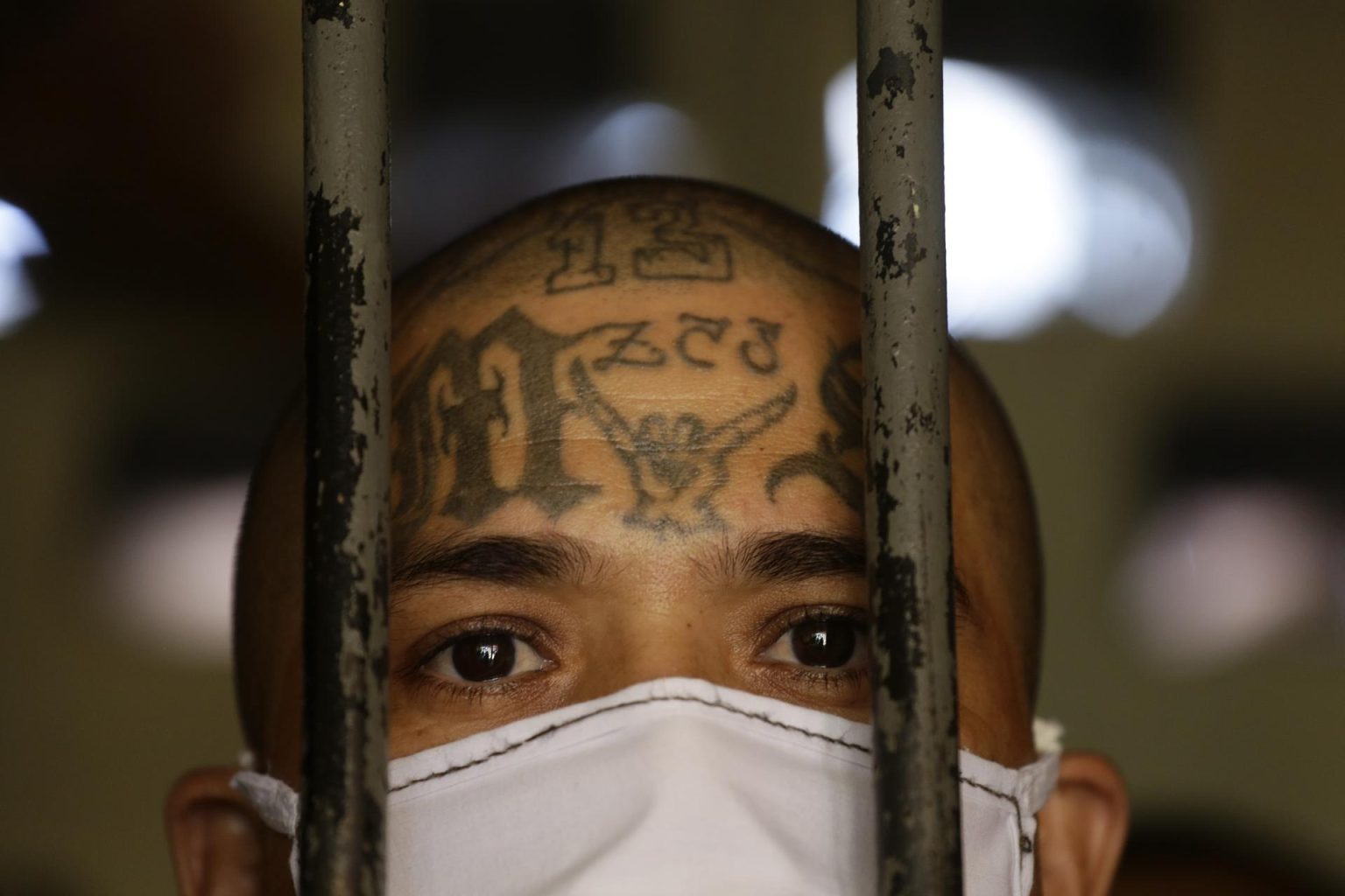 Un operativo conjunto de autoridades federales y locales logró el arresto este martes de 17 miembros de la Mara Salvatrucha (MS-13) en Los Ángeles por acusaciones de tráfico de drogas, informó el Departamento de Justicia de Estados Unidos. Fotografía de archivo. EFE/ Rodrigo Sura