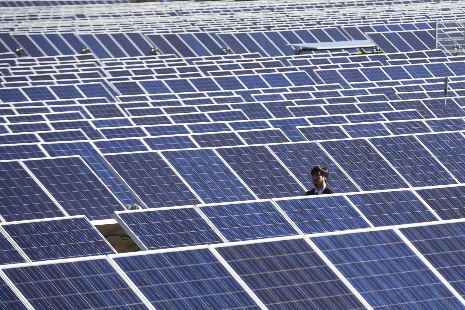 Fotografía de archivo de varios paneles solares. EFE/Elvis González