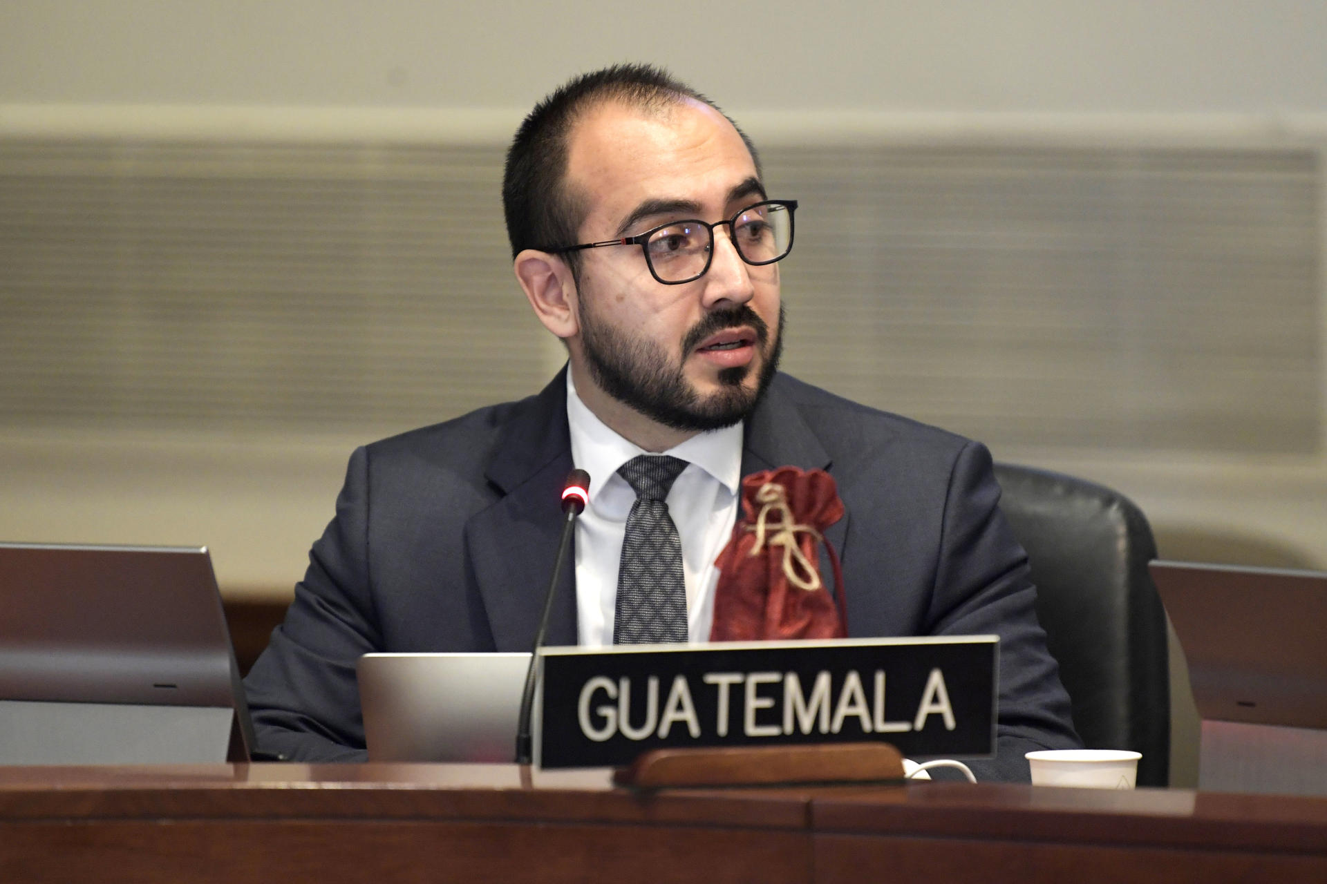 El representante permanente alterno de Guatemala ante la Organización de los Estados Americanos (OEA), Gonzalo Vázquez, habla durante una sesión ordinaria sobre Guatemala celebrada hoy en la sede del organismo en Washington (Estados Unidos). EFE/ Lenin Nolly
