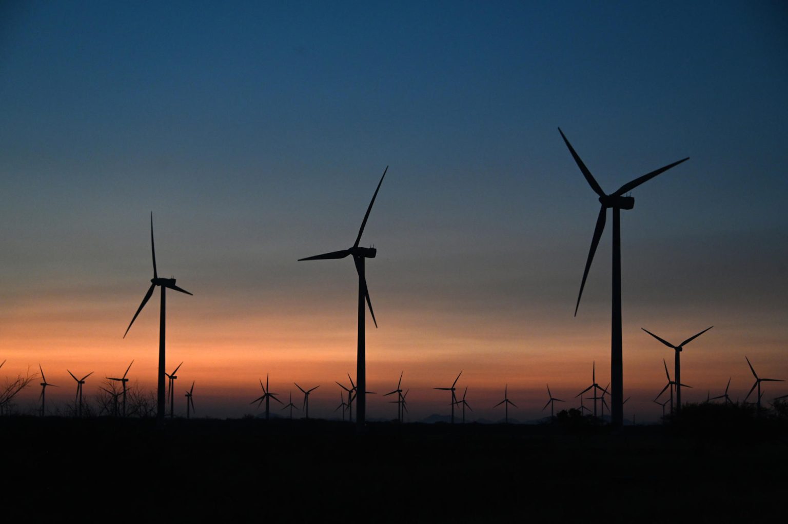 Fotografía cedida por Iberdrola México donde se observa un parque eólico.EFE/ Iberdrola México / SOLO USO EDITORIAL/ SOLO DISPONIBLE PARA ILUSTRAR LA NOTICIA QUE ACOMPAÑA (CRÉDITO OBLIGATORIO)