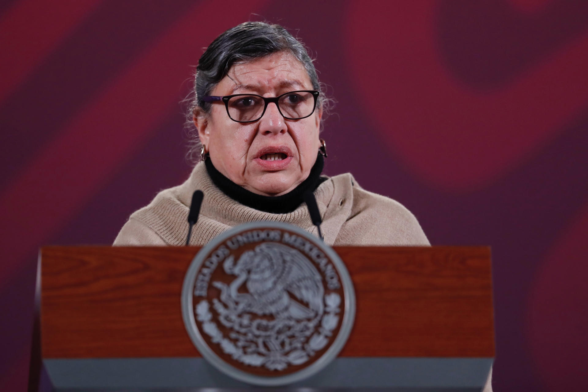 La titular de la Comisión Nacional de Búsqueda (CNB) de México,Teresa Guadalupe Reyes habla hoy, durante su participación en la conferencia matutina del presidente de México, Andrés Manuel López Obrador, en Palacio Nacional en Ciudad de México (México). EFE/Sáshenka Gutiérrez
