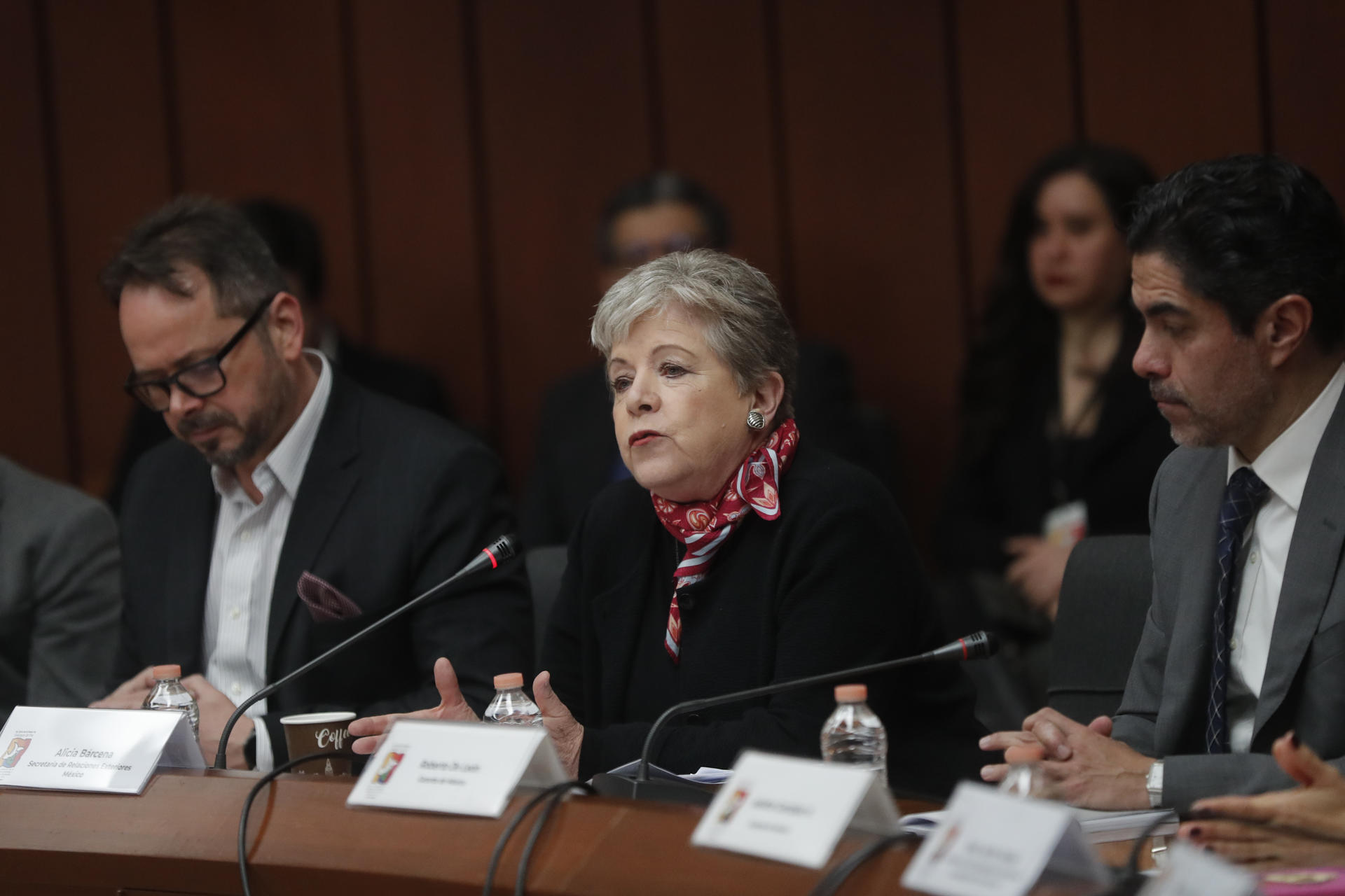 La canciller de México Alicia Bárcena (c) habla en la clausura del quinto ciclo de la Mesa de Diálogos de Paz entre el Gobierno de Colombia y el EFE/ Isaac Esquivel
