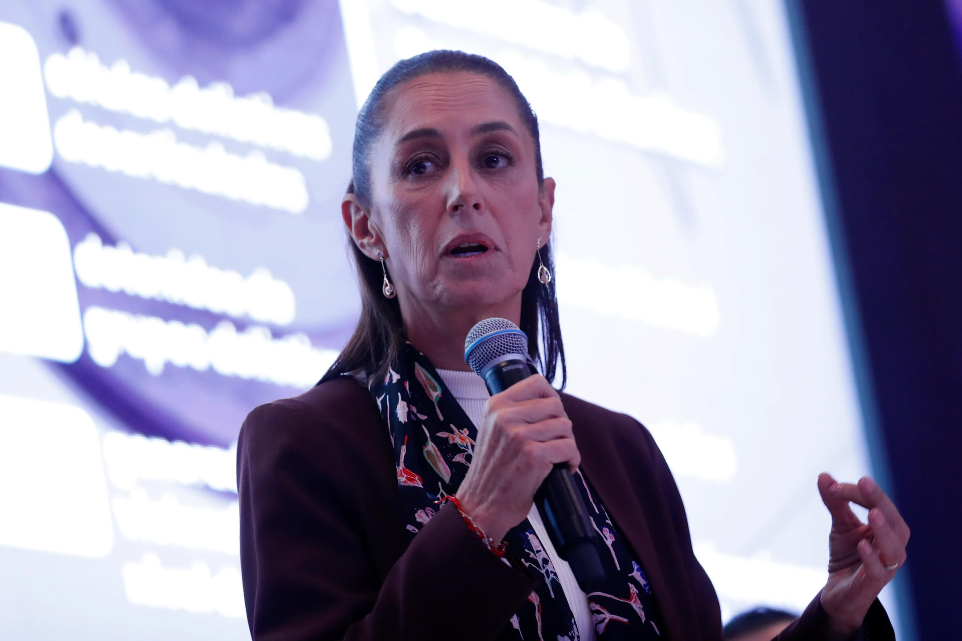 La candidata presidencial del oficialismo, Claudia Sheinbaum, habla hoy durante su reunión con empresarios estadounidenses de la American Society,en Ciudad de México (México). EFE/Sáshenka Gutiérrez
