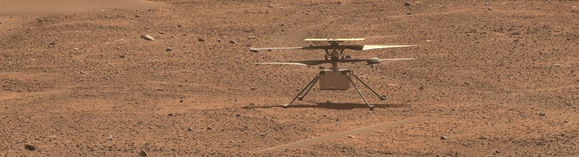 Fotografía cedida por la NASA donde se muestra una vista del helicóptero Ingenuity Mars generada utilizando datos recopilados por el instrumento Mastcam-Z a bordo del rover Perseverance tomada el 2 de agosto de 2023, correspondiente al día 871 marciano, o sol, de la misión del rover. EFE/NASA/JPL-Caltech/ASU/MSSS /SOLO USO EDITORIAL /NO VENTAS /SOLO DISPONIBLE PARA ILUSTRAR LA NOTICIA QUE ACOMPAÑA /CRÉDITO OBLIGATORIO
