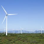 Fotografía de archivo donde se observa un parque de energía Eólica, en el estado de Oaxaca (México). EFE/Mario Arturo Martínez