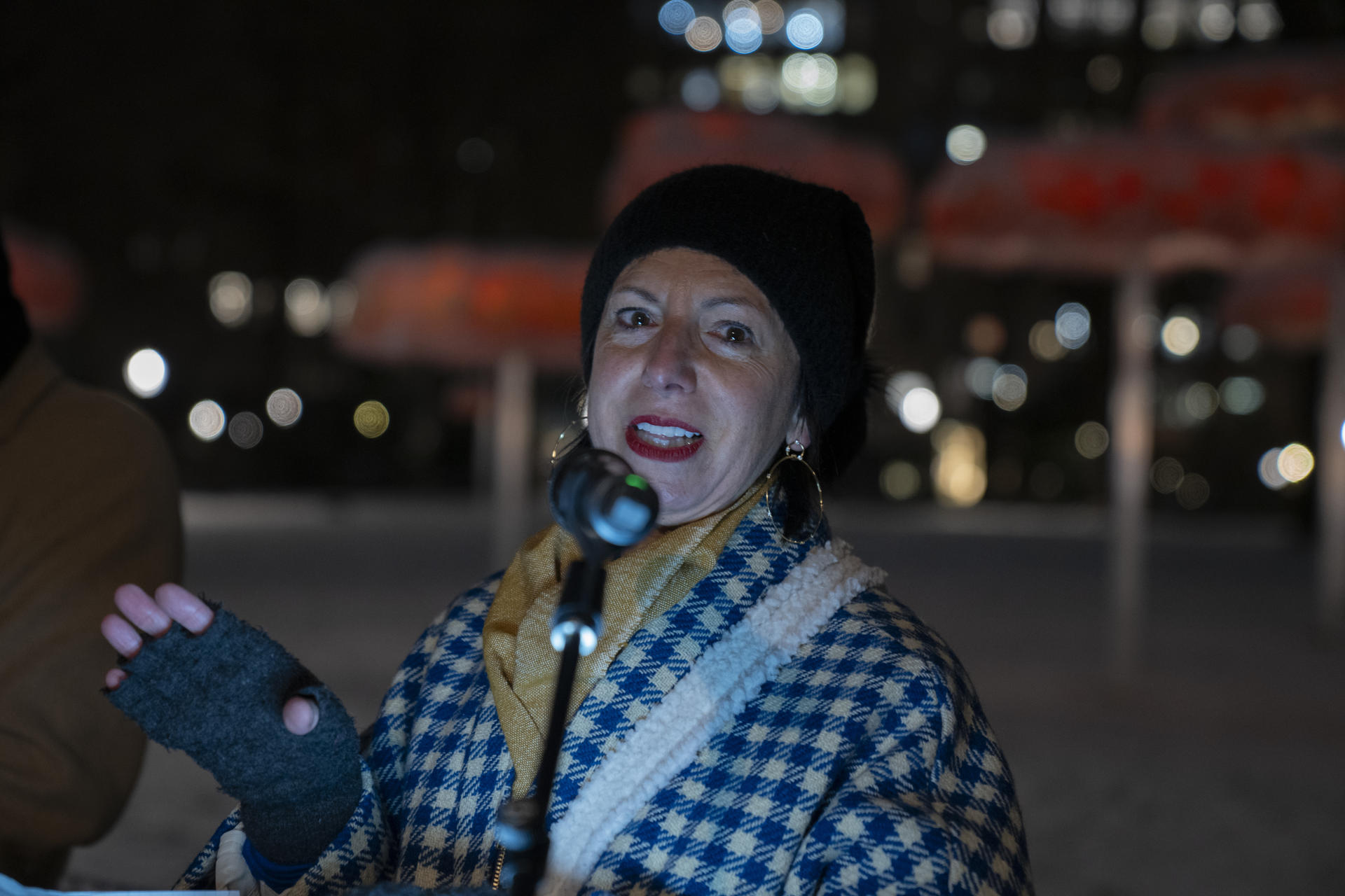 La artista argentina Ana María Hernado habla durante la inauguración de su obra "Dejar que el cielo sepa", una instalación que estará hasta el 17 de marzo en la plaza Madison Square Park, hoy en Manhattan, Nueva York (EE. UU). EFE/ Ángel Colmenares
