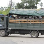 Un vehículo transporta soldado del ejército ecuatoriano en la vía a la población de Daule en Guayaquil (Ecuador).Imagen de archivo. EFE/ Carlos Durán Araújo