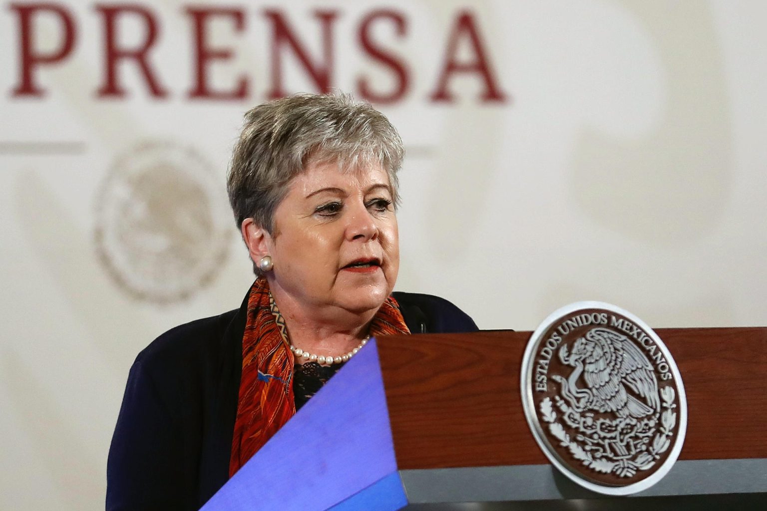 La secretaria de Relaciones Exteriores Alicia Bárcena, habla este lunes durante una conferencia de prensa matutina en el Palacio Nacional en la Ciudad de México (México). EFE/Sáshenka Gutiérrez