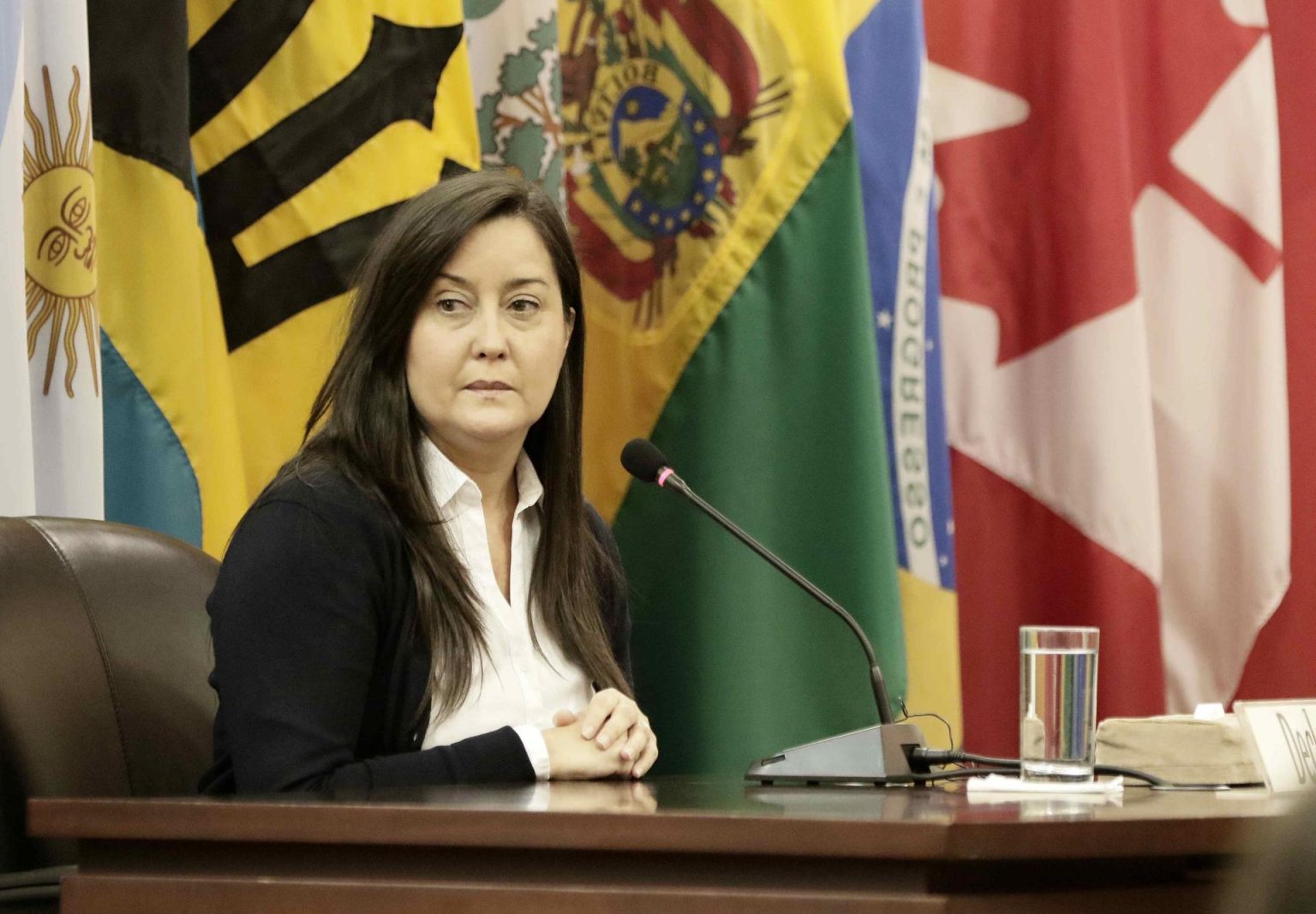 Fotografía de archivo de la activista venezolana venezolana Rocío San Miguel Sosa. EFE/Jeffrey Arguedas