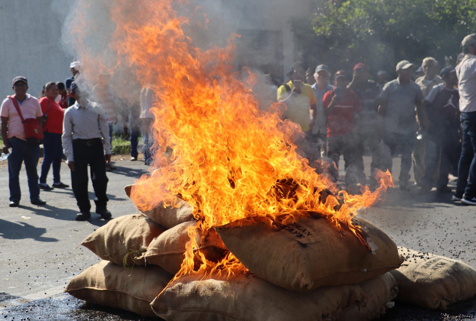 Costales de café arden en llamas durante una manifestación de cafetaleros este jueves en Tapachula, estado de Chiapas (México). EFE/ Juan Manuel Blanco