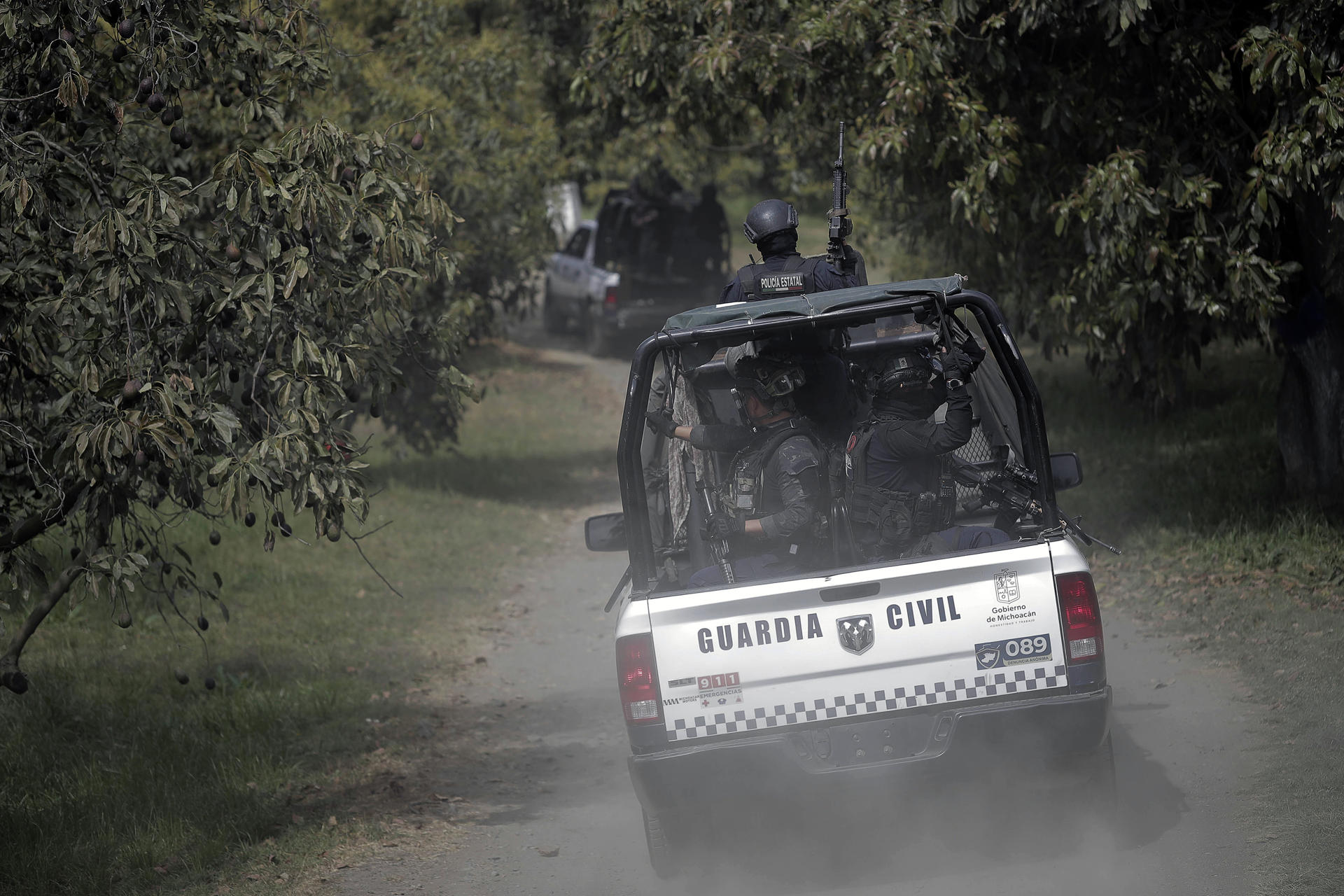 Policías de la Guardia Civil realiza guardias por cultivos de aguacate el 7 de febrero de 2024, en el municipio de Uruapan, en Michoacán (México). EFE/Iván Villanueva
