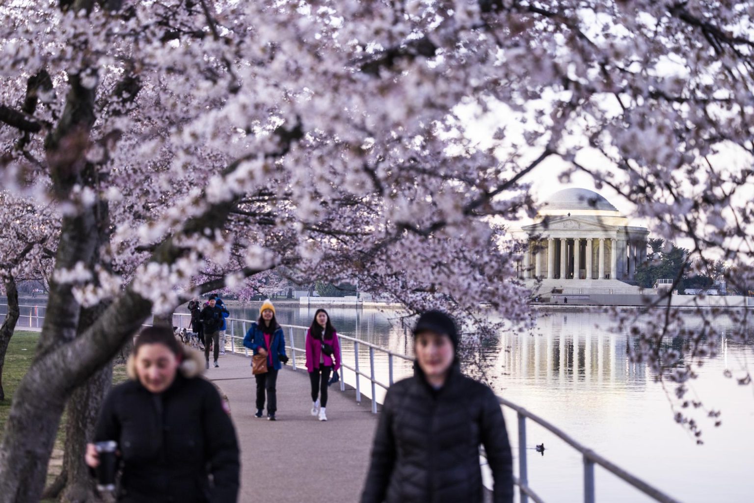 Imagen de archivo. EFE/EPA/JIM LO SCALZO
//////////
Washington (Estados Unidos), 21/03/2023.- Los visitantes caminan bajo los cerezos en flor en la Cuenca Tidal en el primer día completo de primavera en Washington, DC, EE. definido cuando el setenta por ciento de las flores están abiertas, se espera que ocurra esta semana, antes de lo habitual debido al clima más cálido. (Abierto, Estados Unidos) EFE/EPA/JIM LO SCALZO