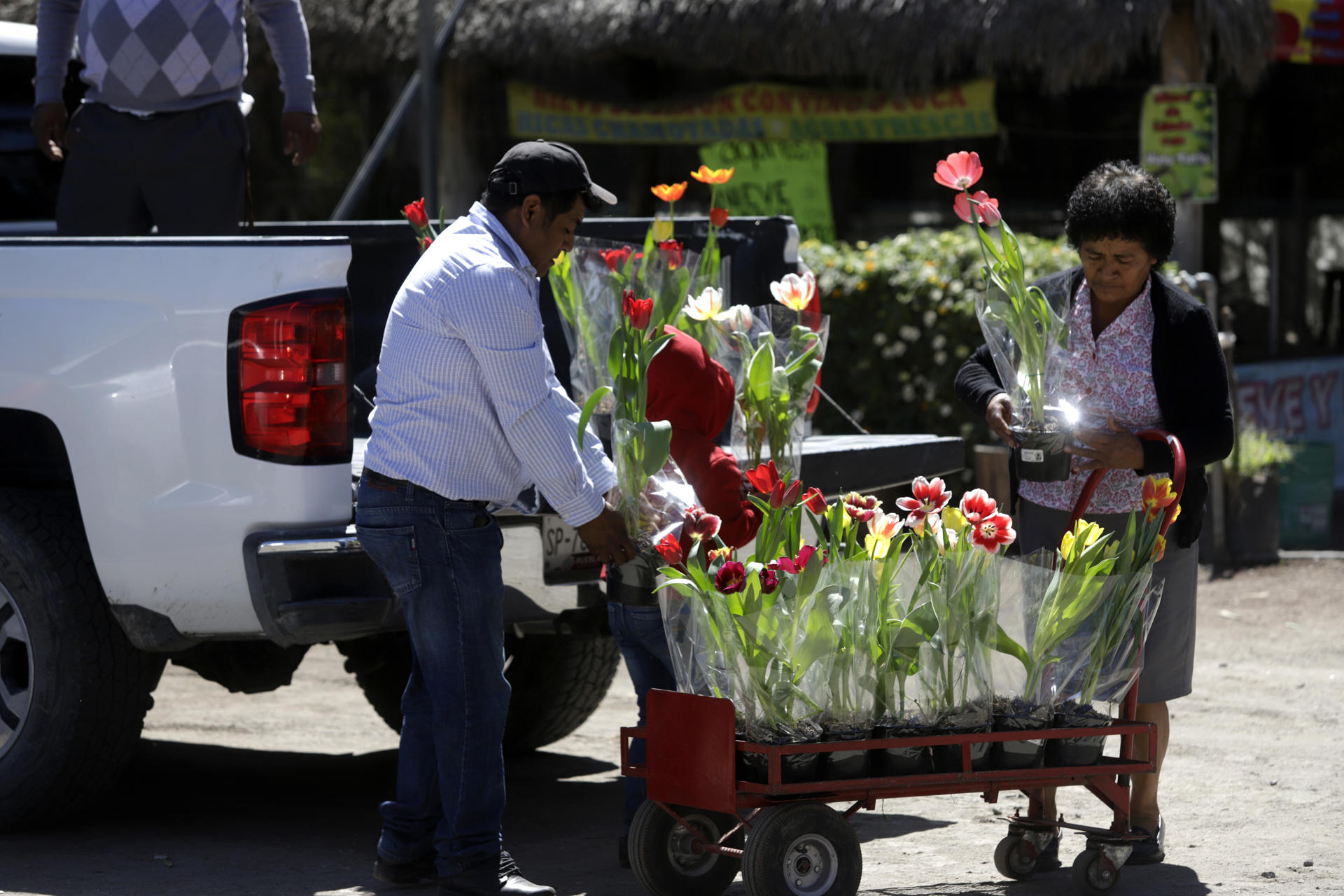 Vendedores ofrecen tulipanes previo al Día de San Valentín, el 12 de febrero de 2024, en el municipio de Atlixco, en Puebla (México). EFE/ Hilda Ríos
