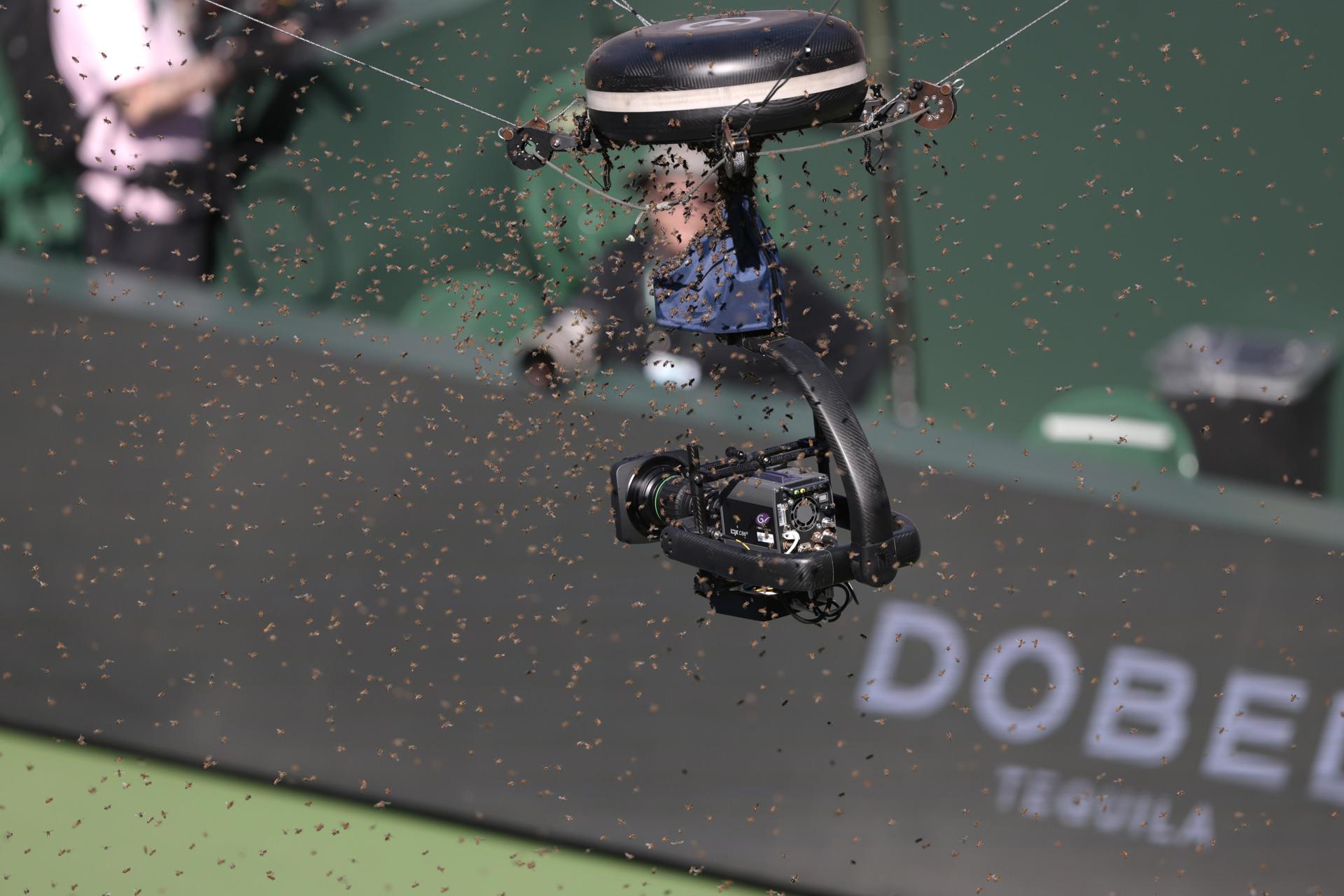 Vista general de una cámara robótica de televisión rodeada de un gran número de abejas, durante el partido del Masters 1.000 de Indian Wells, que disputaron el alemán Alexander Zverev y el español Carlos Alcaraz, en Indian Wells (California, EE.UU.). La presencia masiva de estos insectos obligó a la suspensión temporal del partido, durante más de hora y media. EFE/John G. Mabanglo
