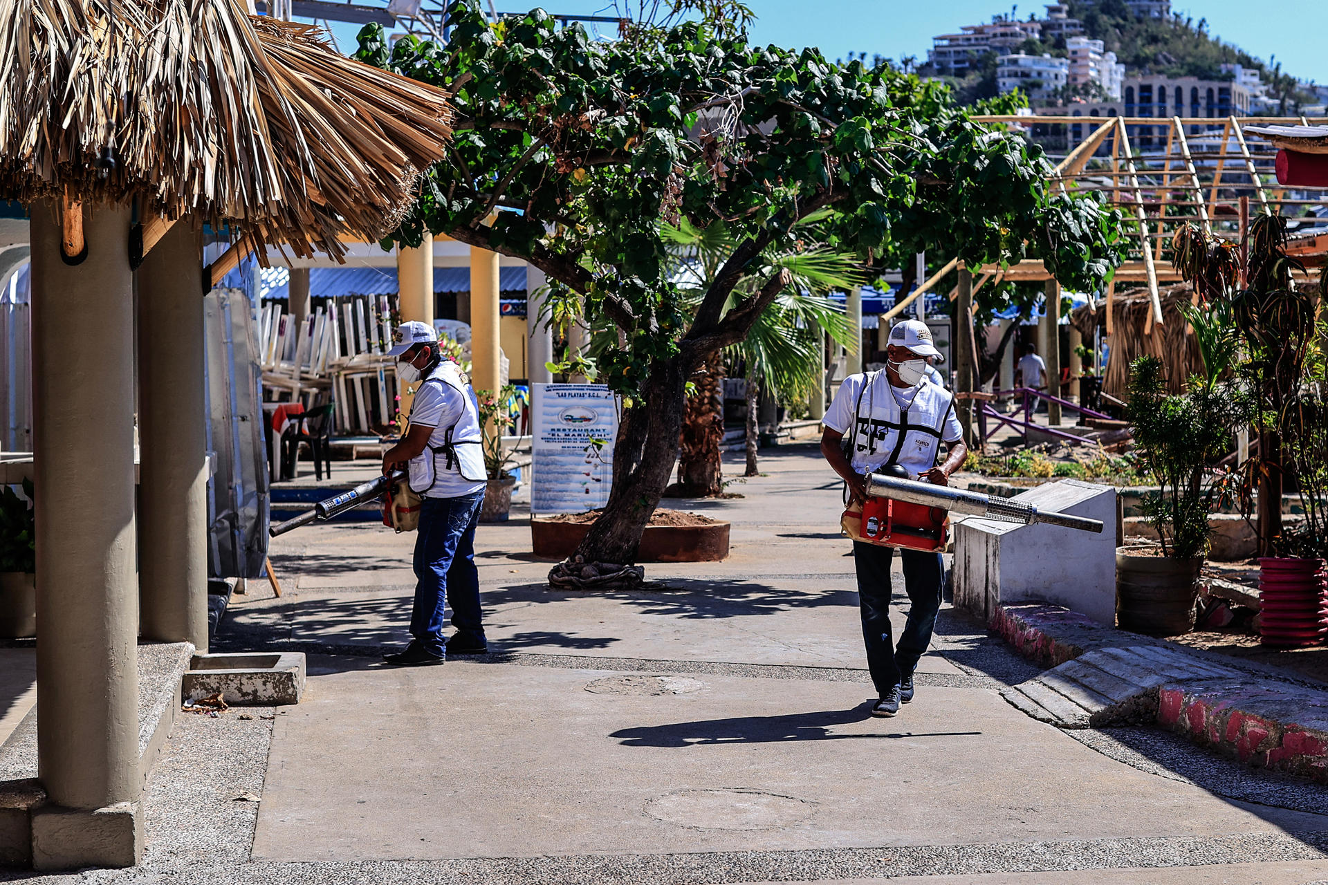 Trabajadores participan en una jornada de fumigación en zonas propensas a la proliferación de los mosquitos transmisores del dengue el 9 de marzo de 2024, en Acapulco (México). EFE/ David Guzmán
