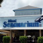 Vista a la entrada principal del Miami Seaquarium, el mayor acuario marino de Estados Unidos. Imagen de archivo. EFE/Emilio López