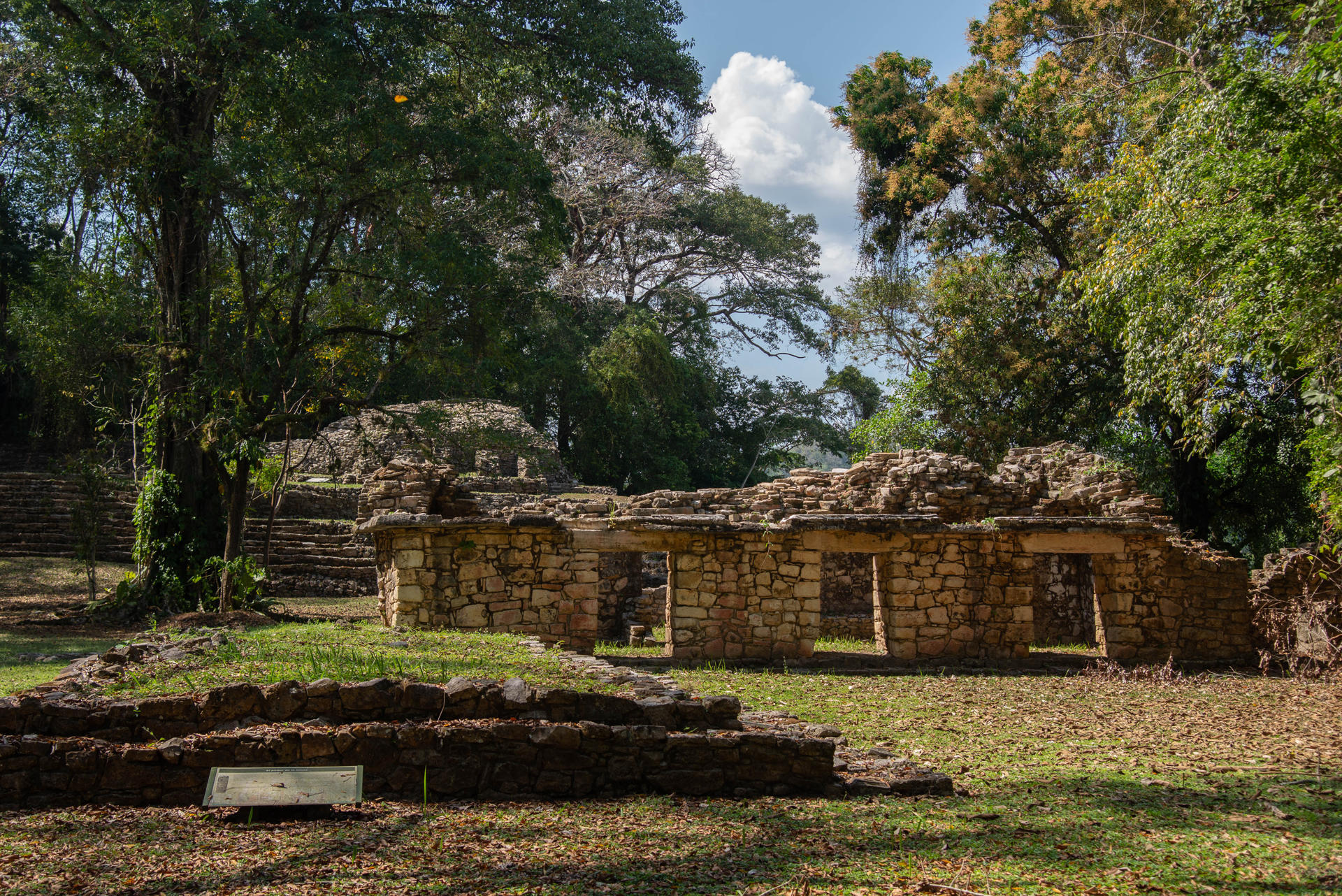 Fotografía de ruinas en la zona arqueológica de Yaxchilán, este martes en Ocosingo, estado de Chiapas (México). EFE/Carlos López
