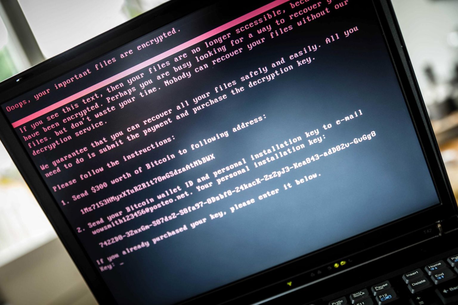 Fotografía de archivo donde se observa la pantalla de un ordenador muestra un mensaje tras ser infectado con un ransomware. EFE/Rob Engelaar