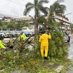 Policías y miembros de Protección Civil levantan arboles caídos tras el paso del huracán Berly en el municipio de Tulum, en Quintana Roo (México).  EFE/ Alonso Cupul