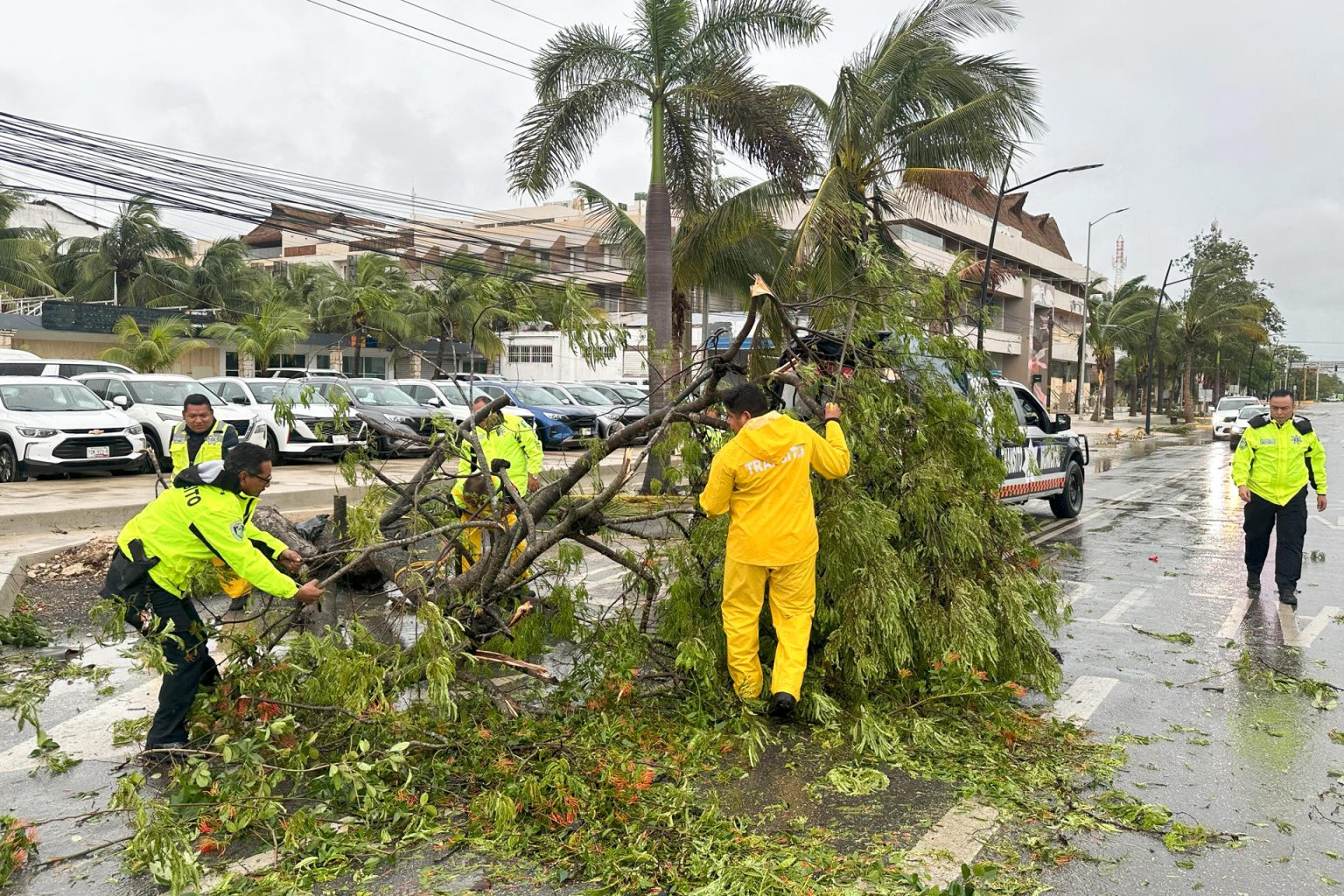 Policías y miembros de Protección Civil levantan arboles caídos tras el paso del huracán Berly en el municipio de Tulum, en Quintana Roo (México).  EFE/ Alonso Cupul