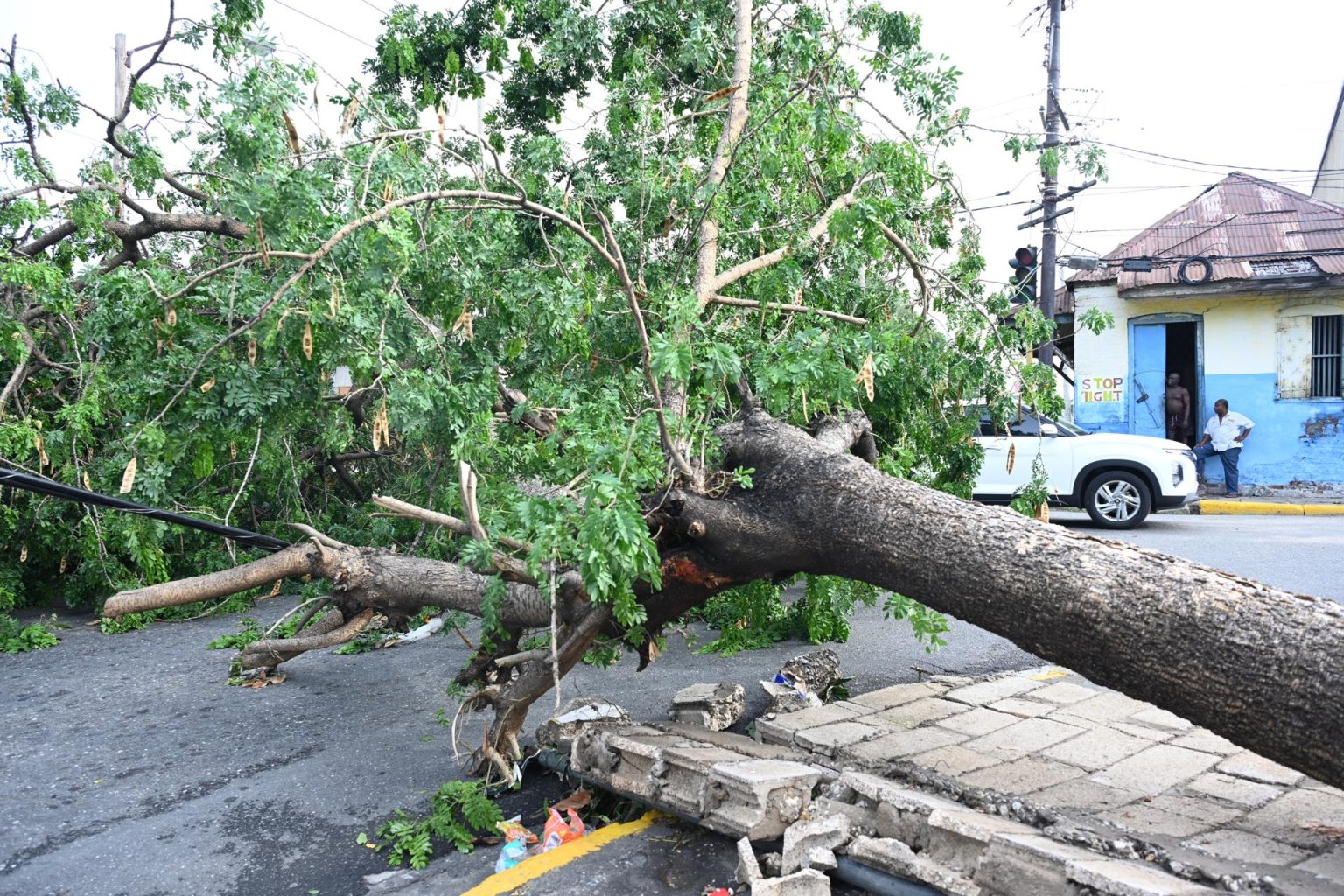 Árboles caídos en las calles este jueves debido al paso del huracán Beryl por Kingston (Jamaica). EFE/Rudolph Brown