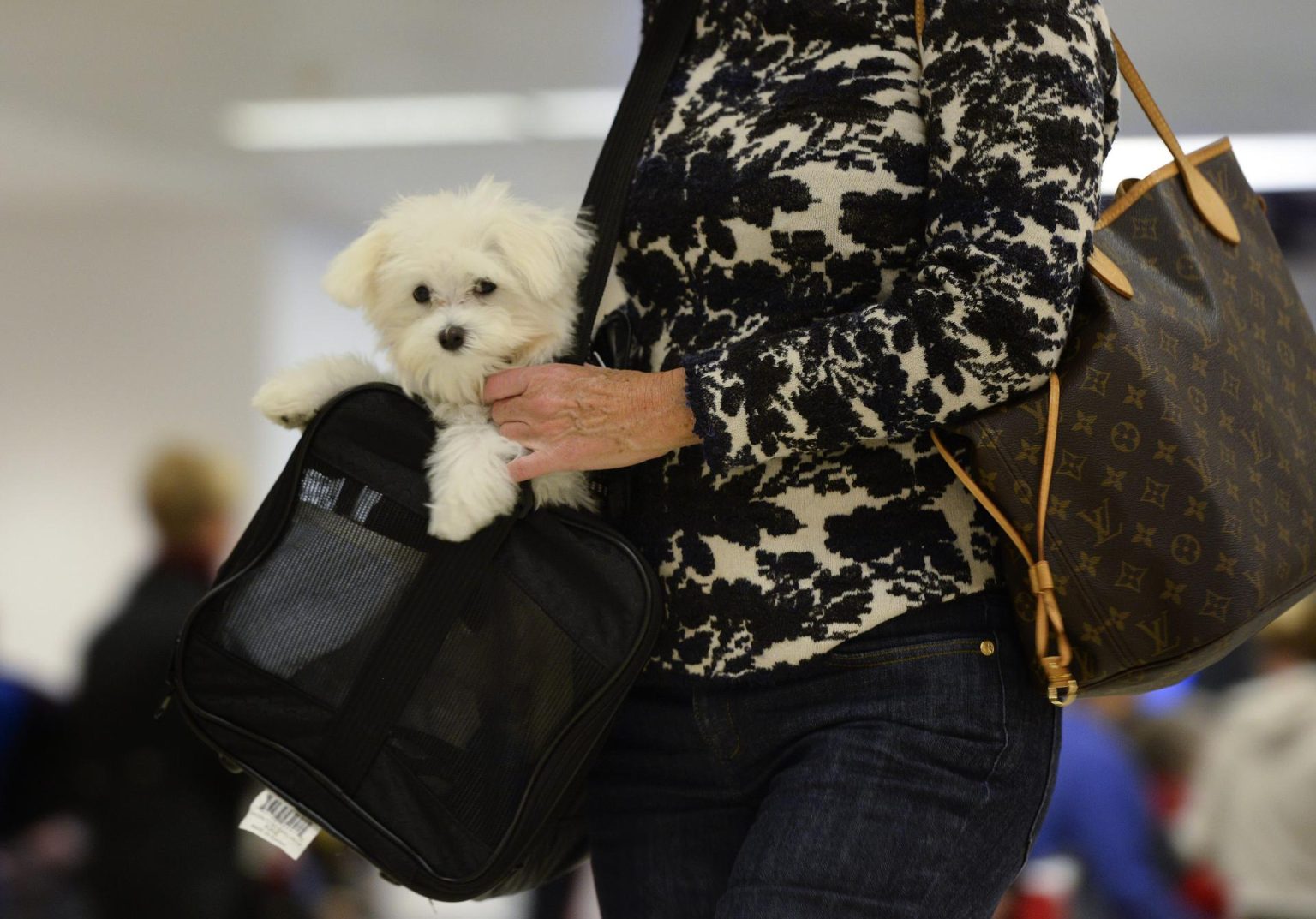 Una mujer y su mascota llegan al aeropuerto Hartsfield-Jackson Atlanta International Airport en Atlanta, Georgia (EE.UU.). Imagen de archivo. EFE/ERIK S. LESSER