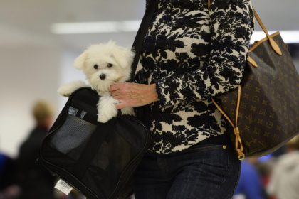 Una mujer y su mascota llegan al aeropuerto Hartsfield-Jackson Atlanta International Airport en Atlanta, Georgia (EE.UU.). Imagen de archivo. EFE/ERIK S. LESSER