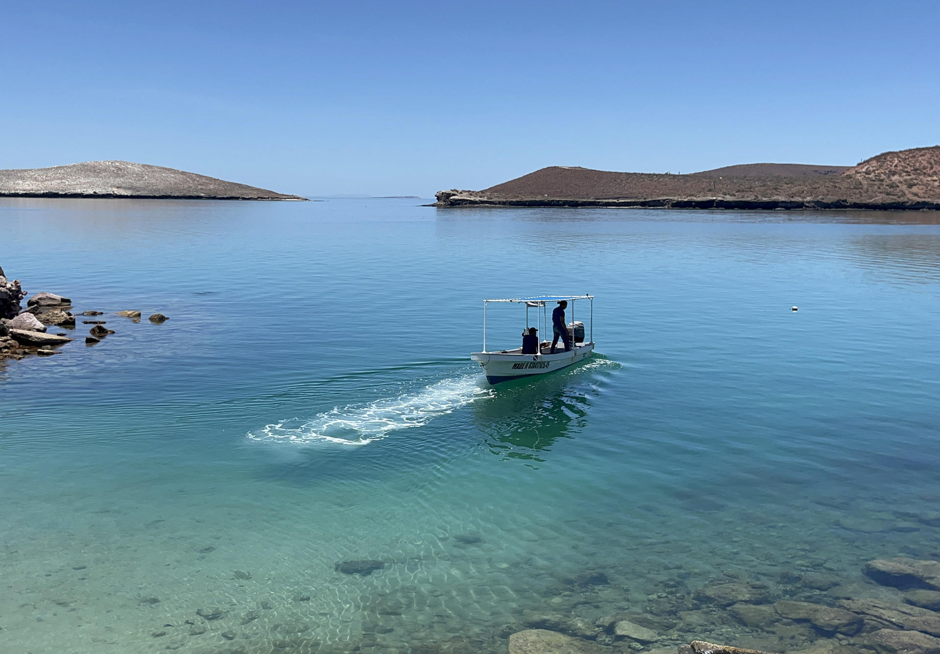 Fotografía del 20 de julio de 2024, donde se observa a ambientalistas en una playa cerca del puerto de Pichilingue, en La Paz, Baja California Sur (México). EFE/Enric Sitjà Rusiñol
