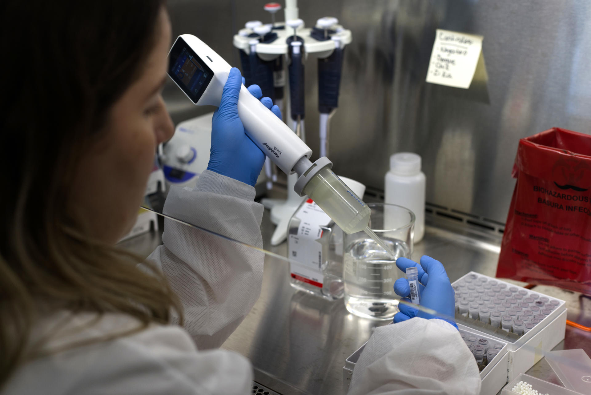 Fotografía del 16 de agosto de 2024 de la especialista del laboratorio de la Unidad de Control de Vectores, María García, analizando muestras de mosquitos, en el laboratorio de la Unidad de Control de Vectores, en San Juan (Puerto Rico). EFE/ Thais Llorca
