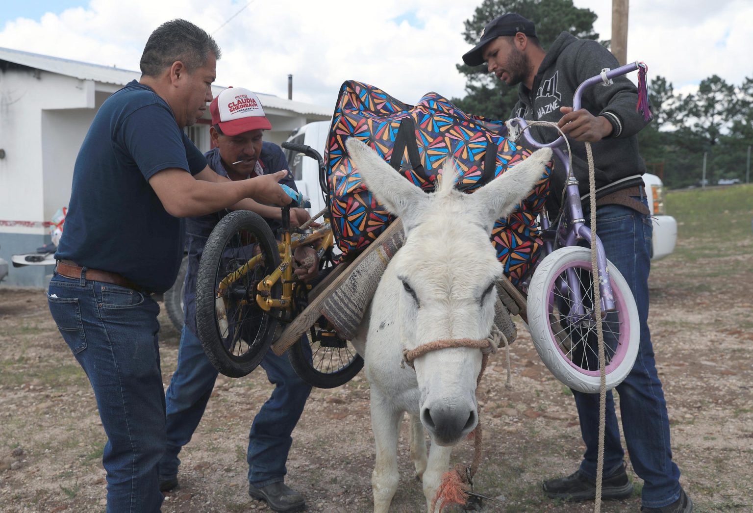 Personas cargan un burro con obsequios, alimentos y materiales educativos para llevarlos a indígenas rarámuris, el 13 de septiembre de 2024 en la comunidad de Guachochi de la sierra Tarahumara, estado de Chihuahua (México). EFE/Luis Torres