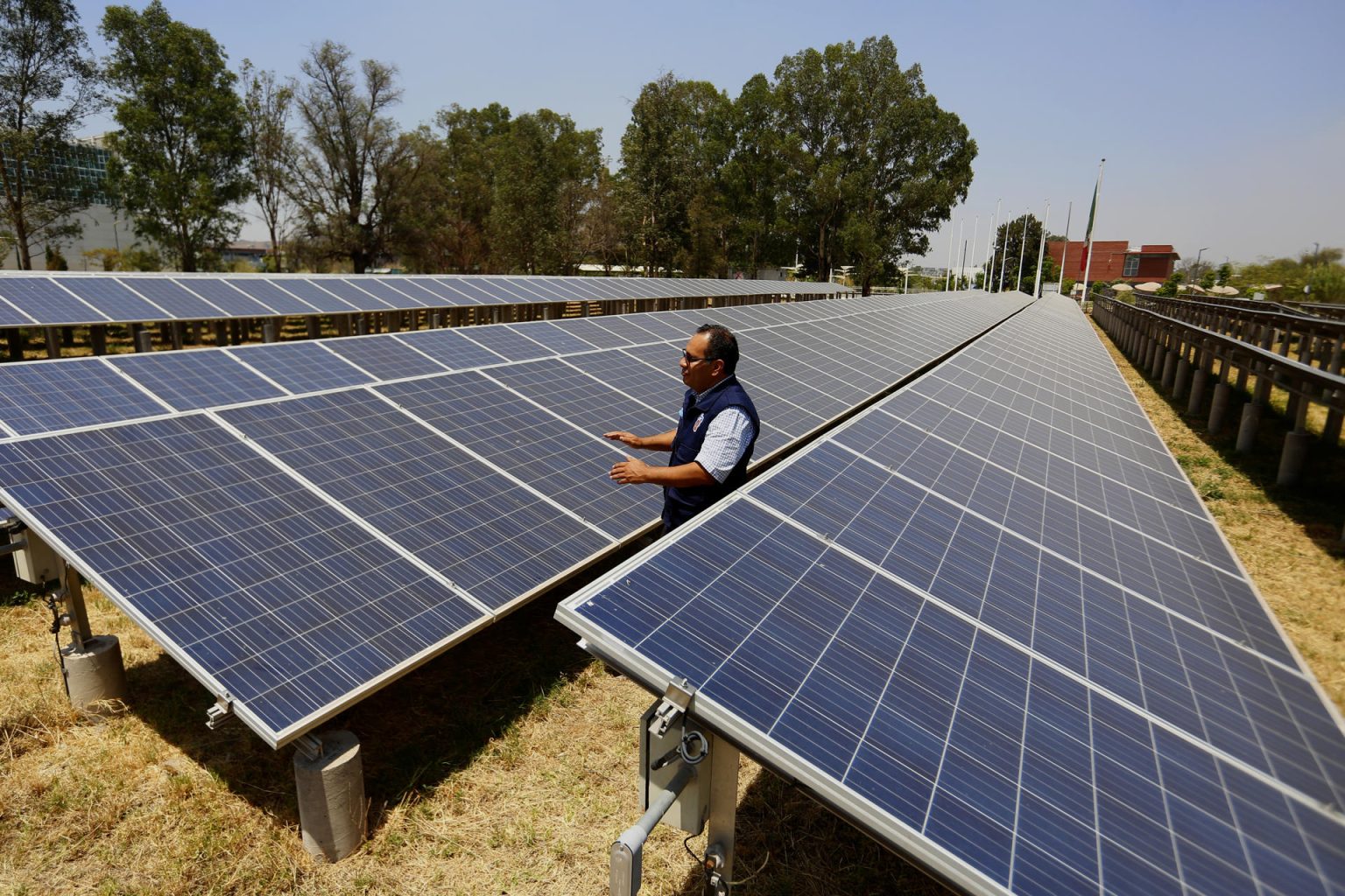 Fotografía de archivo de paneles solares en el municipio de Tonalá en el estado de Jalisco (México). EFE/Francisco Guasco/ARCHIVO