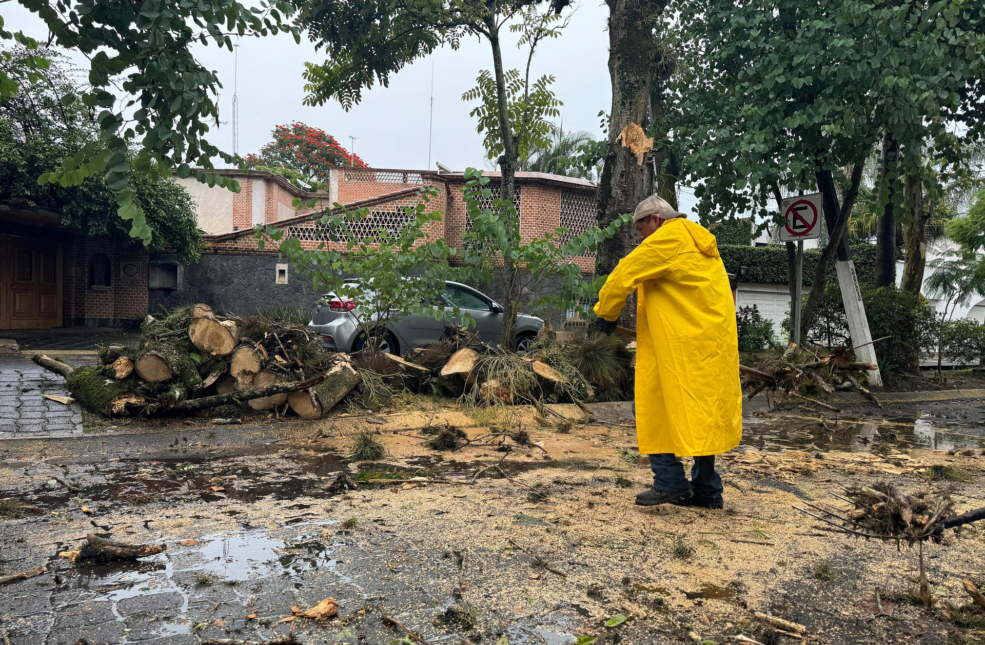 Personal de Protección Civil, retira un árbol caído de una de las avenida principales, este domingo en el puerto de Veracruz (México). EFE/Miguel Victoria
