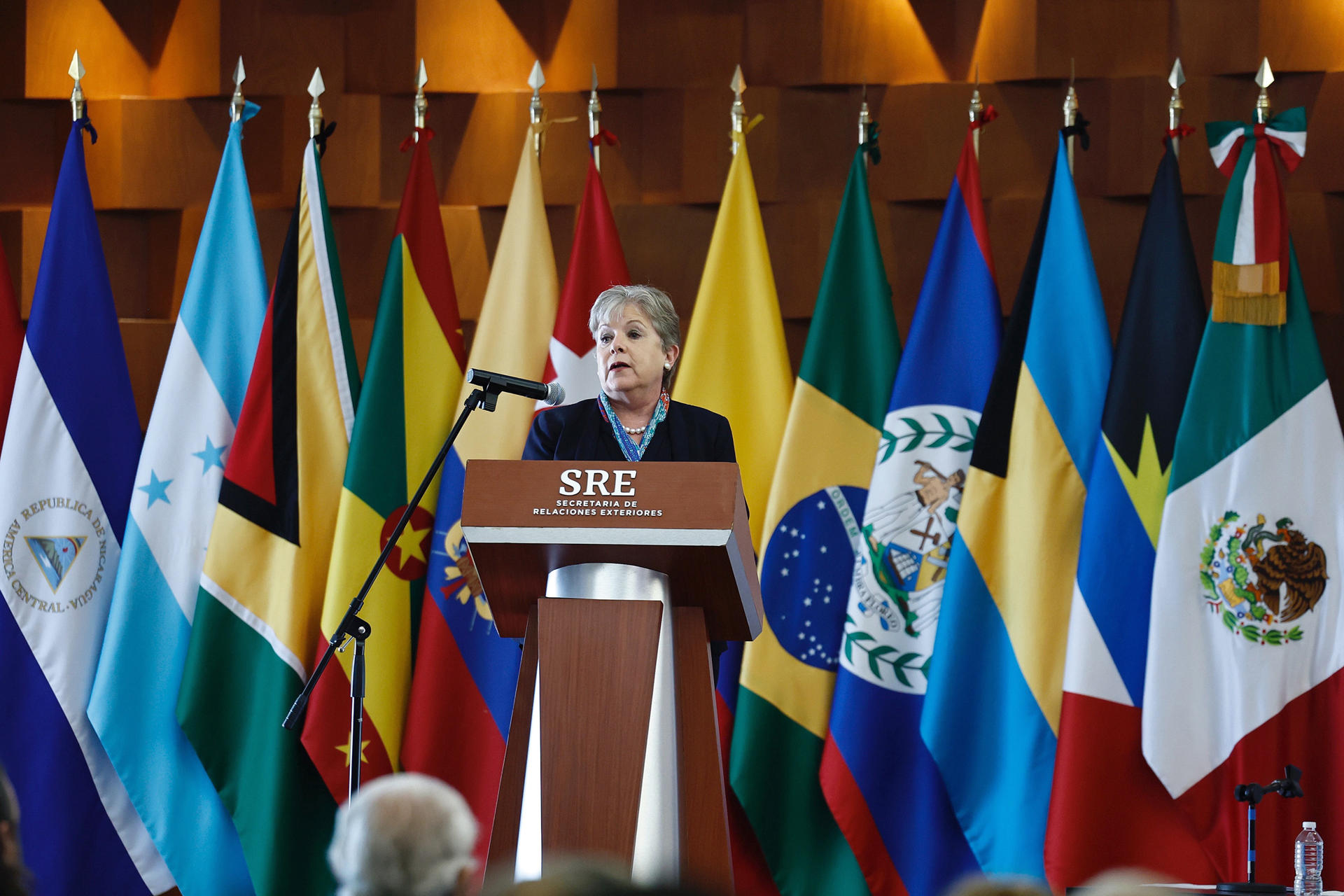 La canciller mexicana Alicia Bárcena, habla durante la inauguración del seminario Repensar el desarrollo de América Latina y el Caribe, este lunes en Ciudad de México (México). EFE/Sáshenka Gutiérrez
