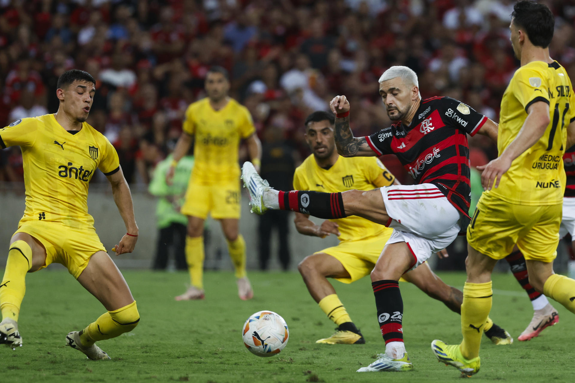 Tras la derrota sufrida en Río de Janeiro el 19 de septiembre de 2024, Flamengo visita a Peñarol en Montevideo el día 26 para definir el clasificado a las semifinales de la Copa Libertadores. EFE/ Antonio Lacerda
