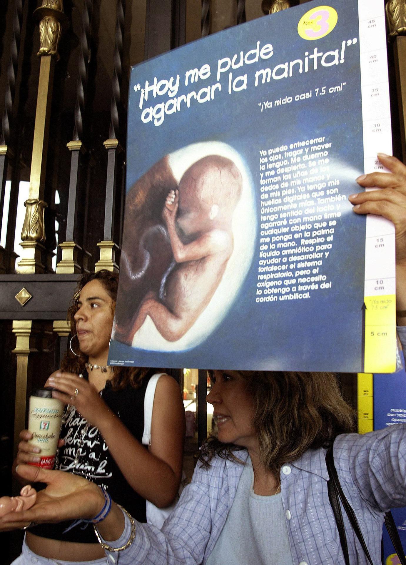 Imagen de archivo de una mujer de la organización pro-vida, quien está en contra de la despenalización del aborto protesta en Ciudad de México. EFE/Patricia Domínguez