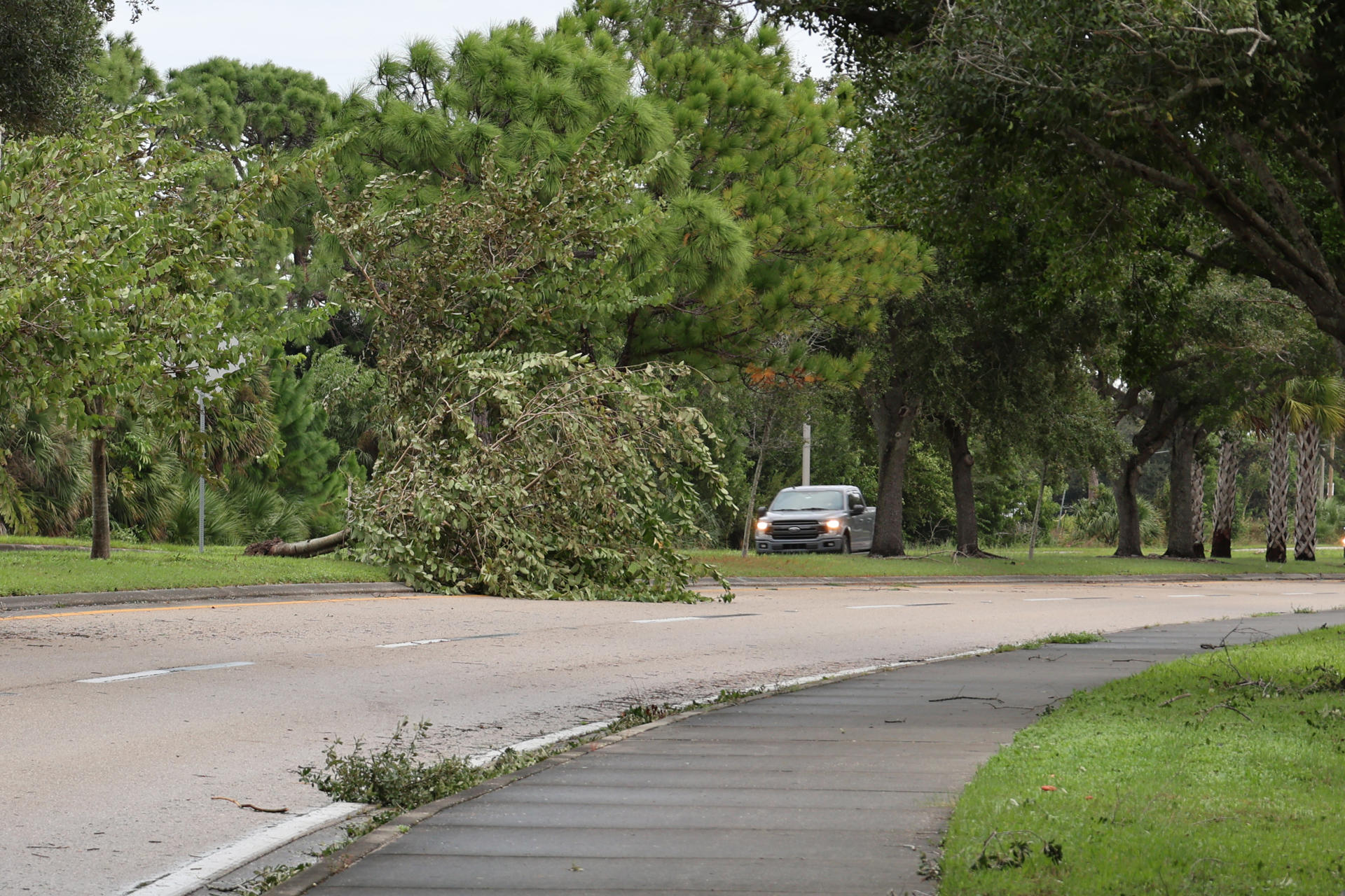 Fotografía de una calle con ramas y troncos de árboles caidos este jueves después del paso del huracán Milton en Fort Myers, Florida (EE.UU.). EFE/Octavio Guzmán
