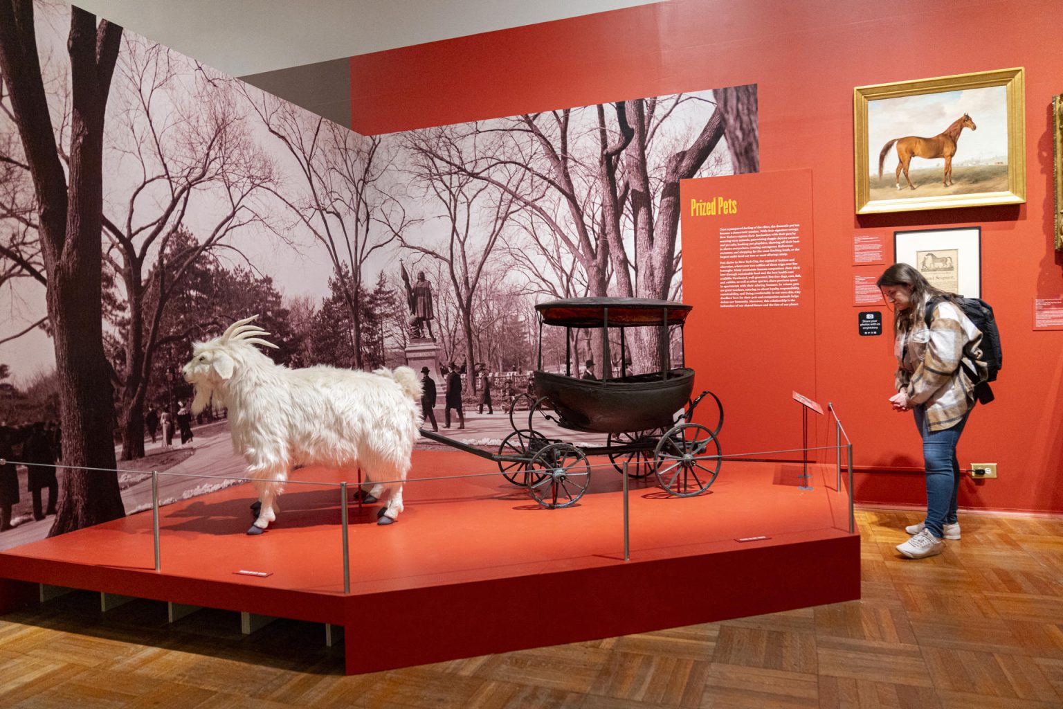 Una mujer visita la exposición 'Pets and the City' (las mascotas y la ciudad) este viernes, en la sede del museo en Nueva York (EE.UU.). EFE/ Ángel Colmenares