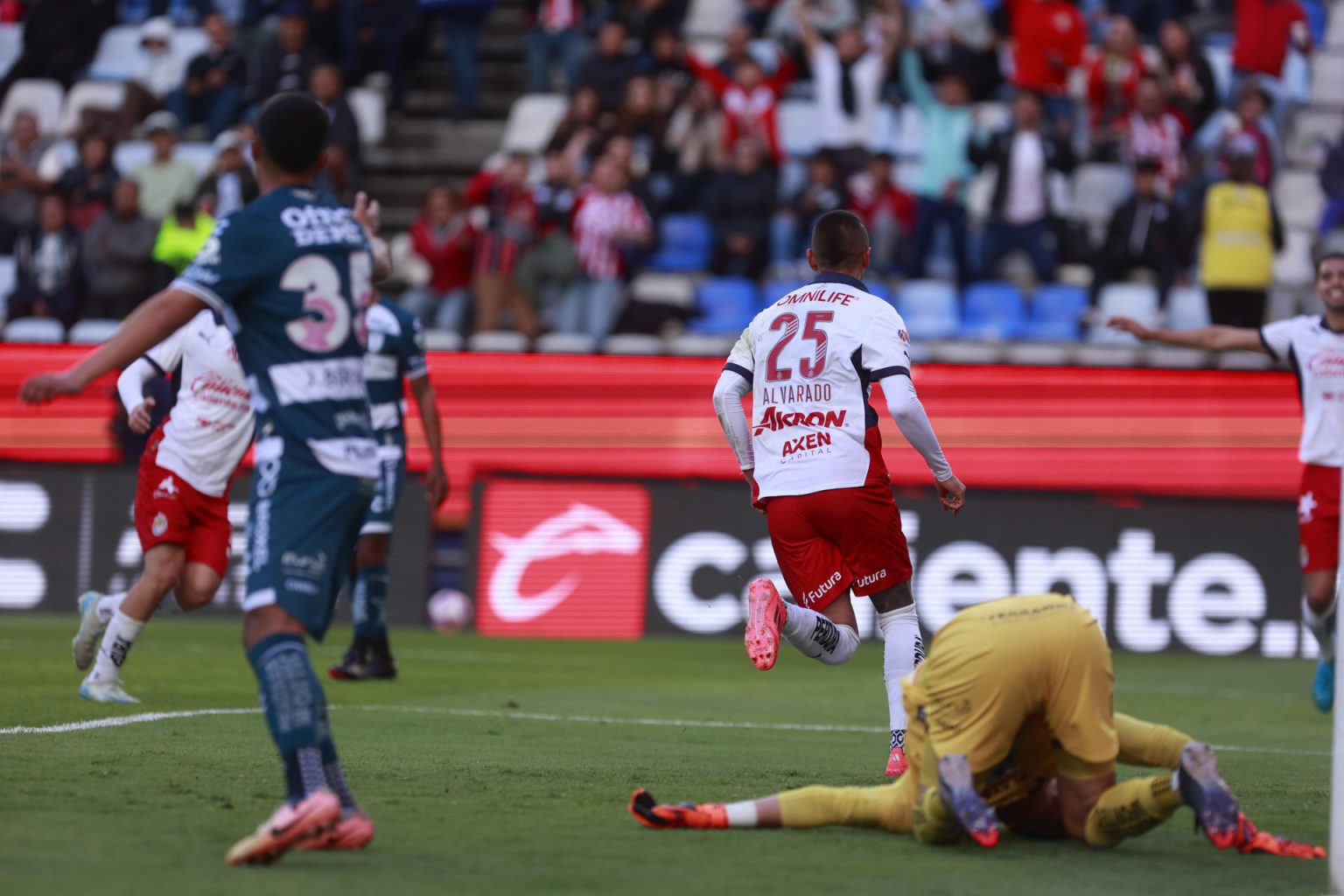 Roberto Alvarado (c) de Guadalajara celebra un gol en el partido de la jornada 12 del torneo Apertura 2024 del fútbol mexicano. EFE/ David Martínez Pelcastre