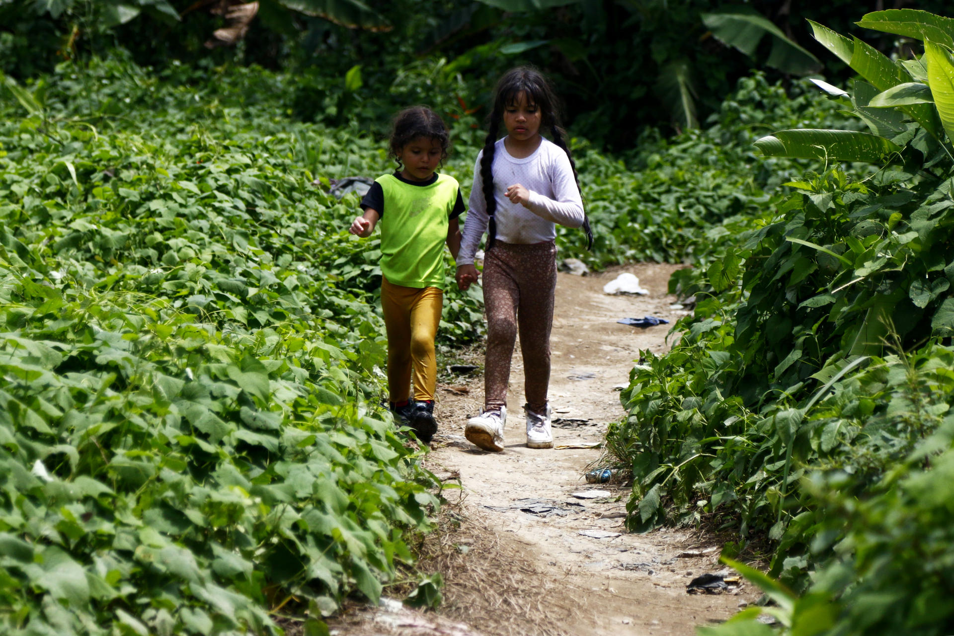 Fotografía del 8 de octubre de 2024 de niñas recorriendo un camino cerca al pueblo de Bajo Chiquito (Panamá). EFE/ Moncho Torres
