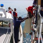 Imagen de archivo de miembros de la guardia costera estadounidense en el momento que realizan la repatriación de ciudadanos haitianos en Puerto  Rico. EFE/Guardia Costera Estadounidense