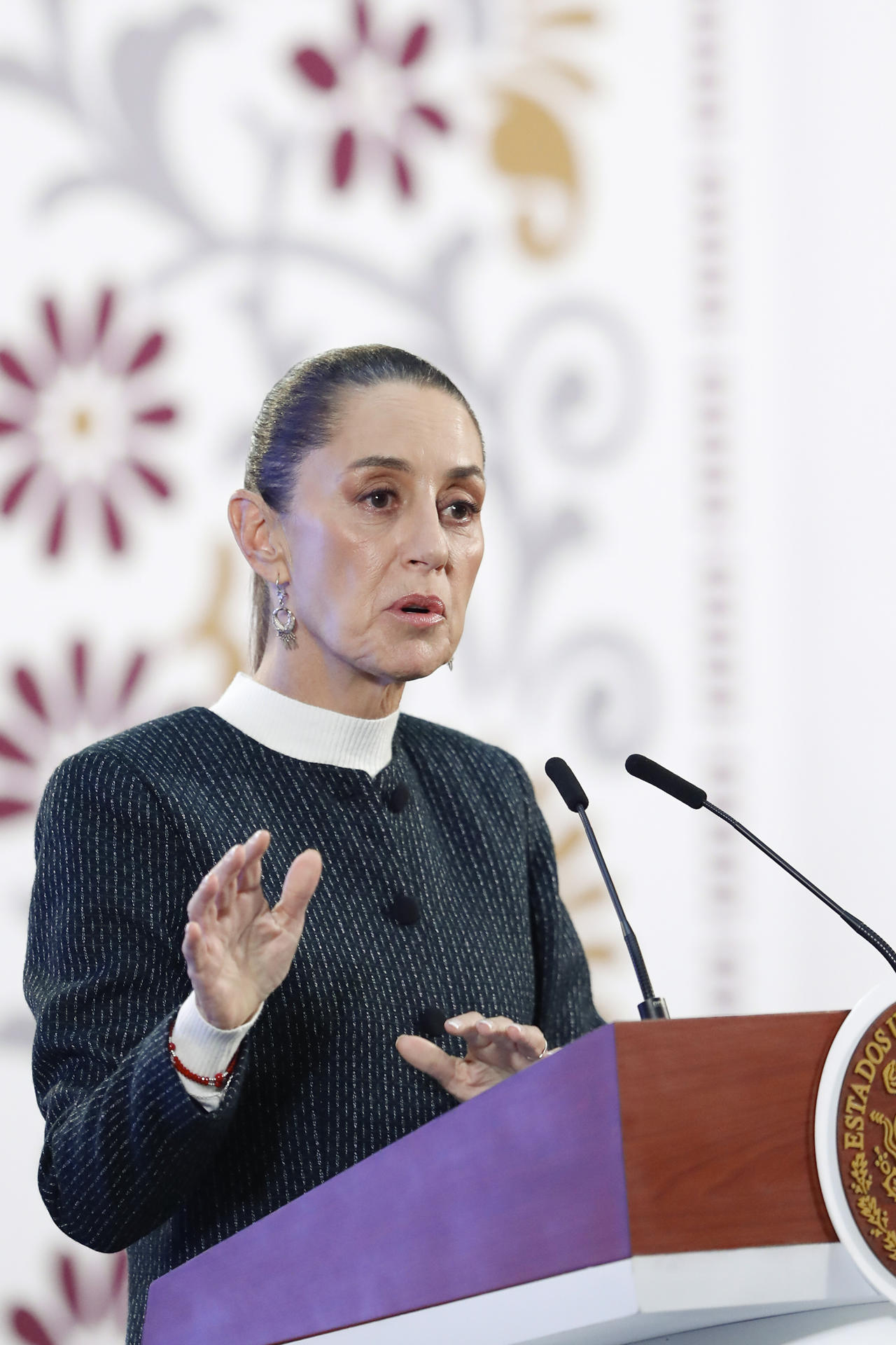 La presidenta de México, Claudia Sheinbaum, habla durante una rueda de prensa este jueves en el Palacio Nacional en la Ciudad de México (México). EFE/ Mario Guzmán
