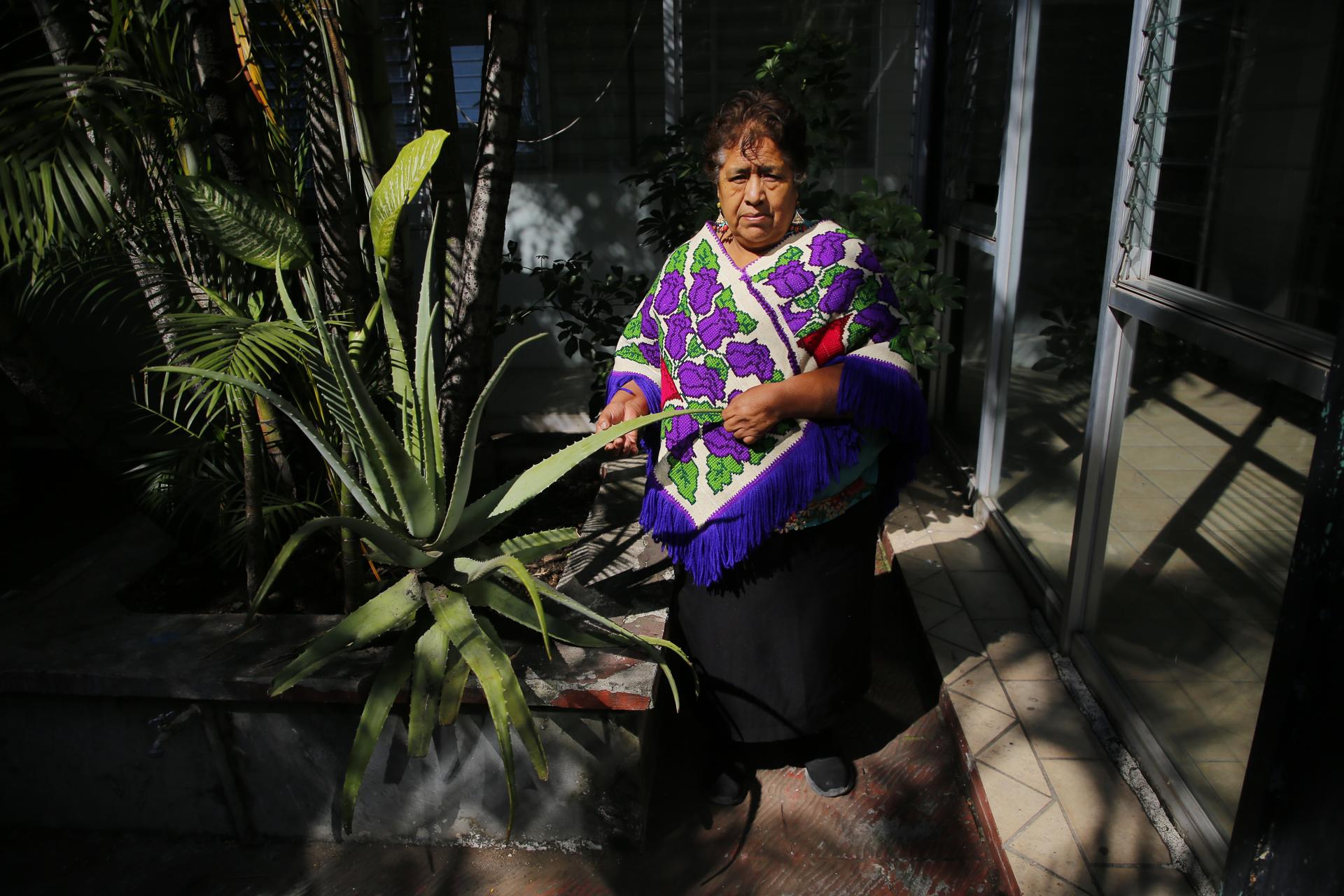 La médica tradicional Cristina Martínez posa al termino de una entrevista con EFE, el 21 de octubre de 2024, en la ciudad de Guadalajara, Jalisco (México). EFE/ Francisco Guasco
