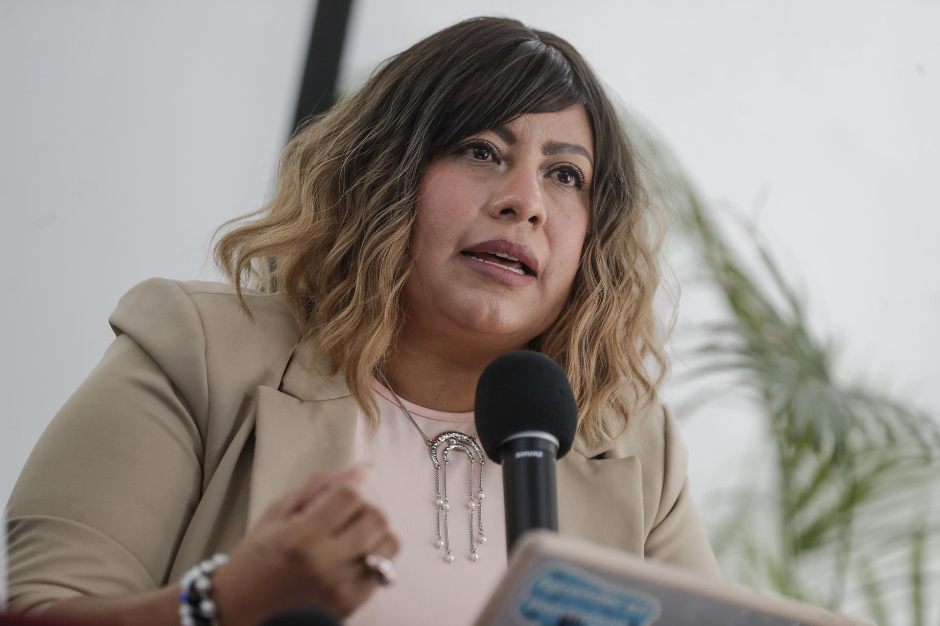 La representante del Grupo de Acción por la No Detención de Personas Refugiadas, Diana Martínez Medrano, habla durante una rueda de prensa este miércoles, en Ciudad de México (México). EFE/ Isaac Esquivel
