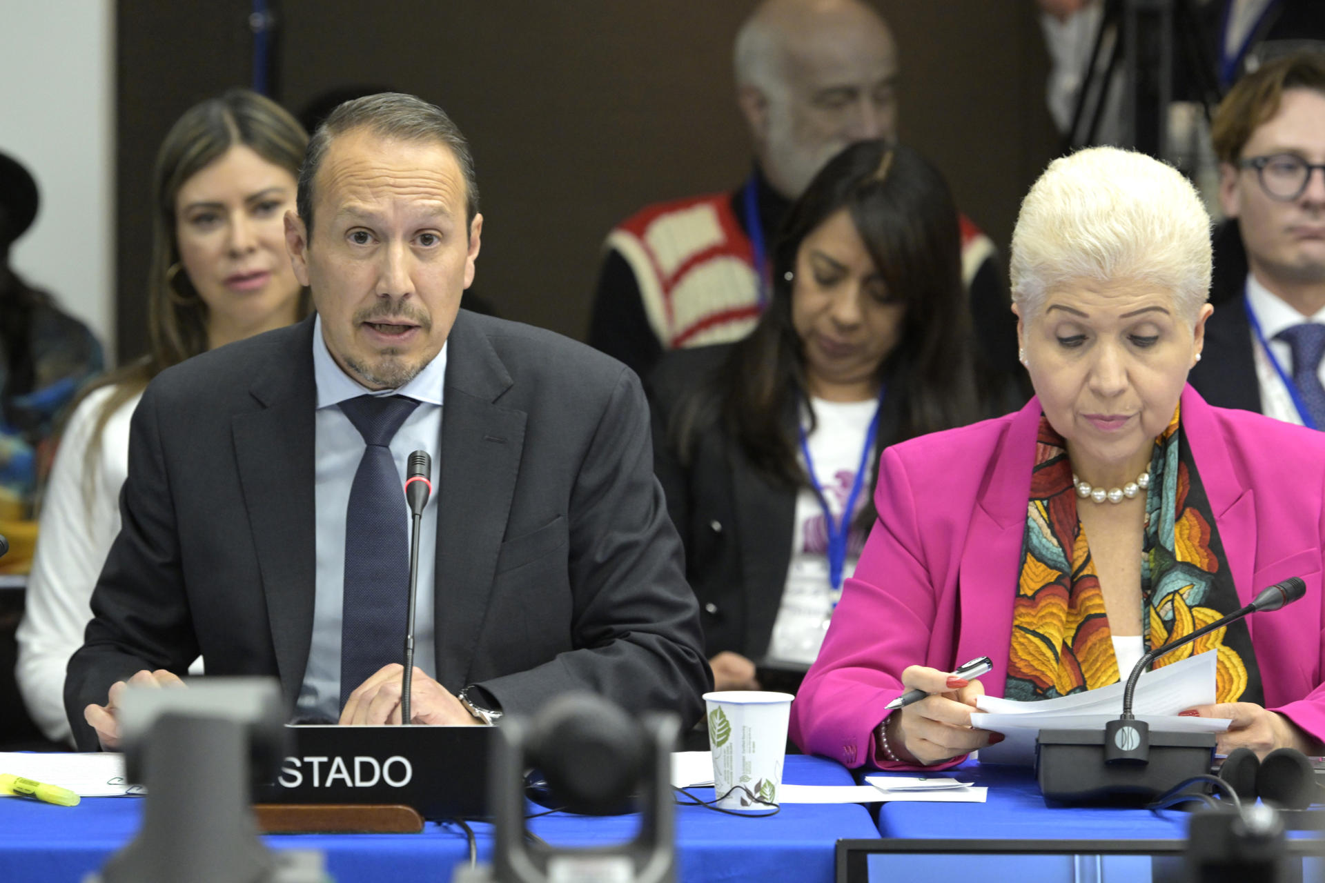 El representante del Estado mexicano, José Antonio Montero, y la representante permanente de México ante la Organización de los Estados Americanos (OEA), Luz Baños, participan durante una audiencia de la Comisión Interamericana de Derechos Humanos (CIDH), este martes en la sede del organismo en Washington (Estados Unidos). EFE/ Lenin Nolly
