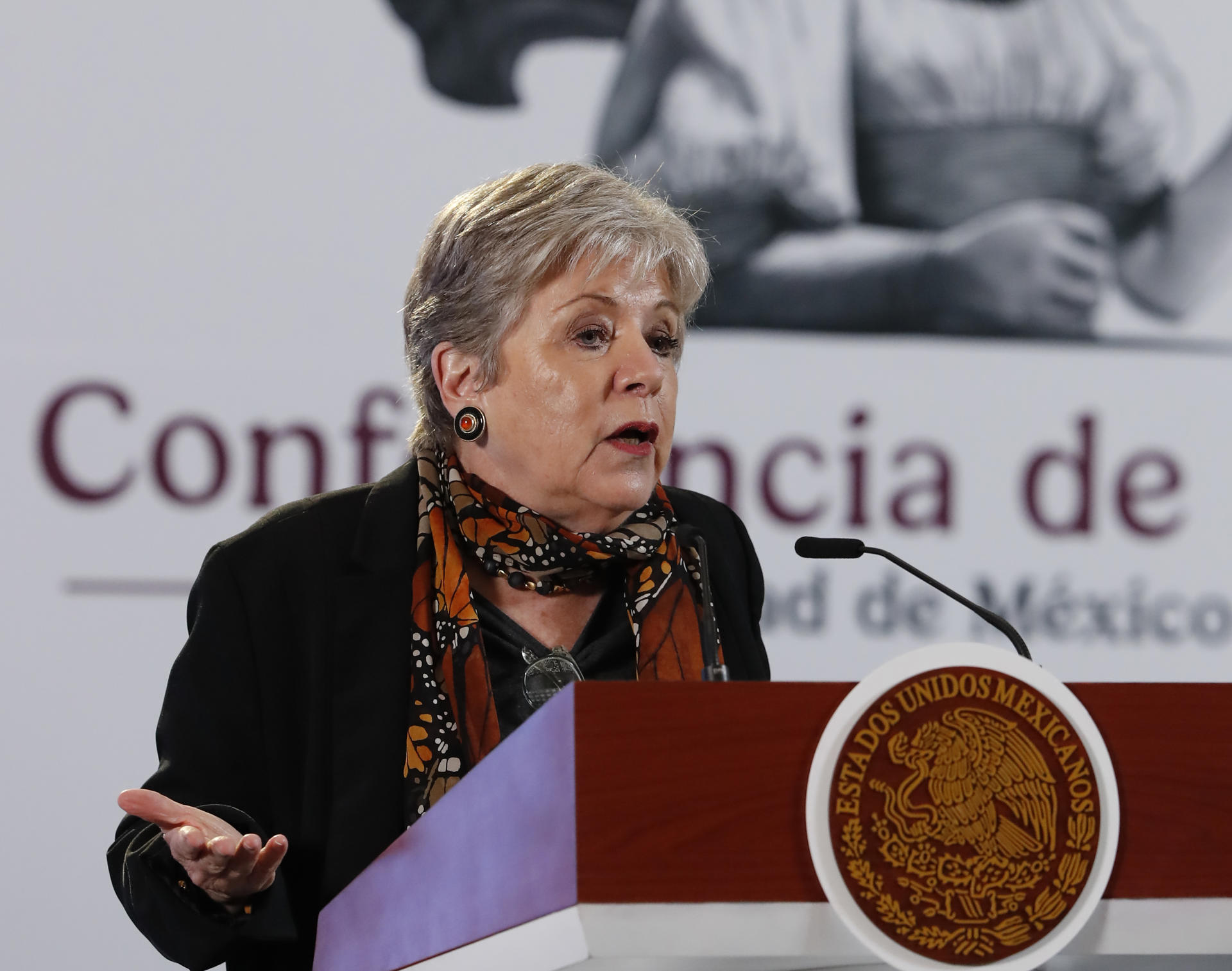 La Secretaria de Medio Ambiente y Recursos Naturales (SEMARNAT), Alicia Bárcenas, participa durante la rueda de prensa de la presidenta de México, Claudia Sheinbaum, este jueves, en el Palacio Nacional de la Ciudad de México (México). EFE/ Mario Guzmán
